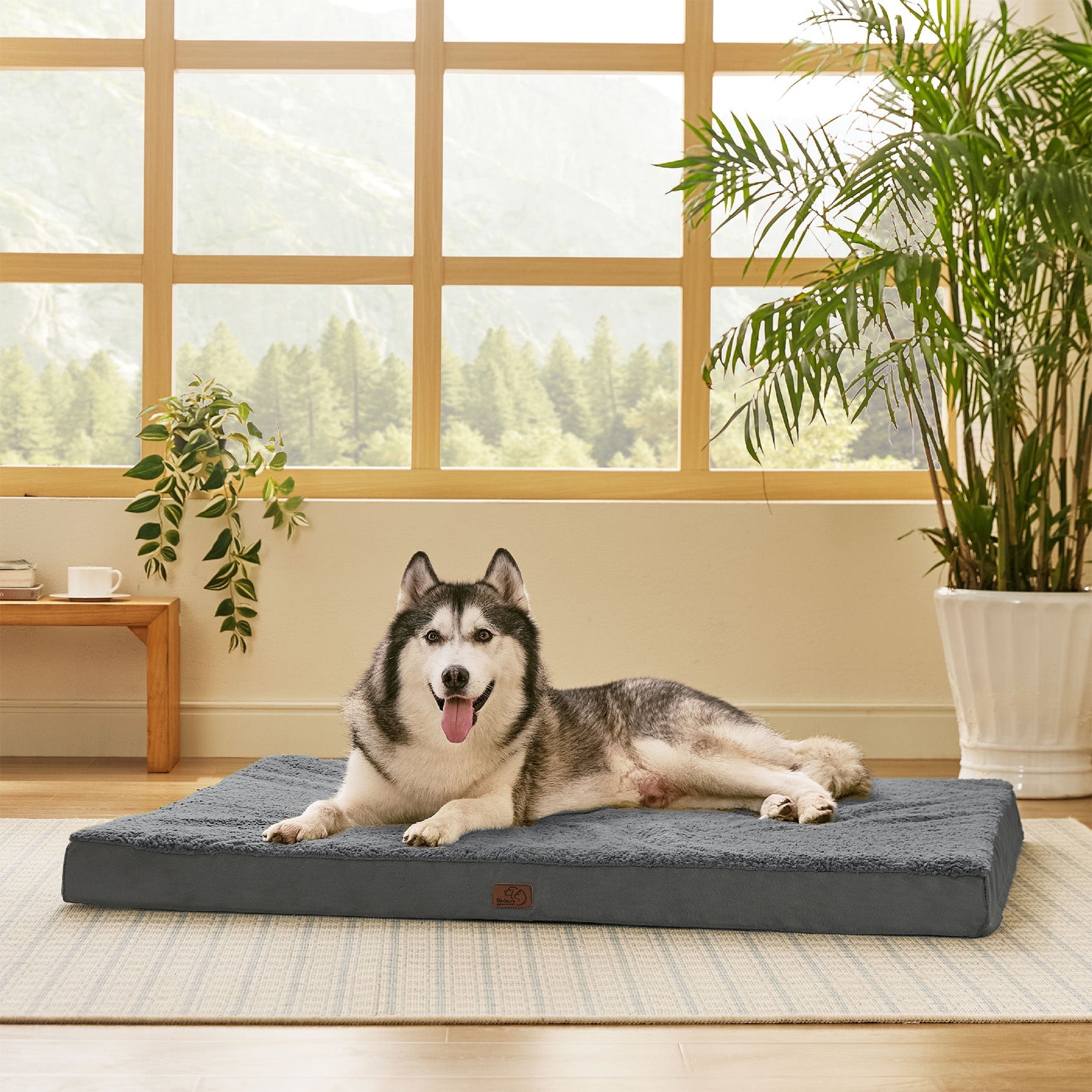 Large Orthopedic Washable Dog Bed