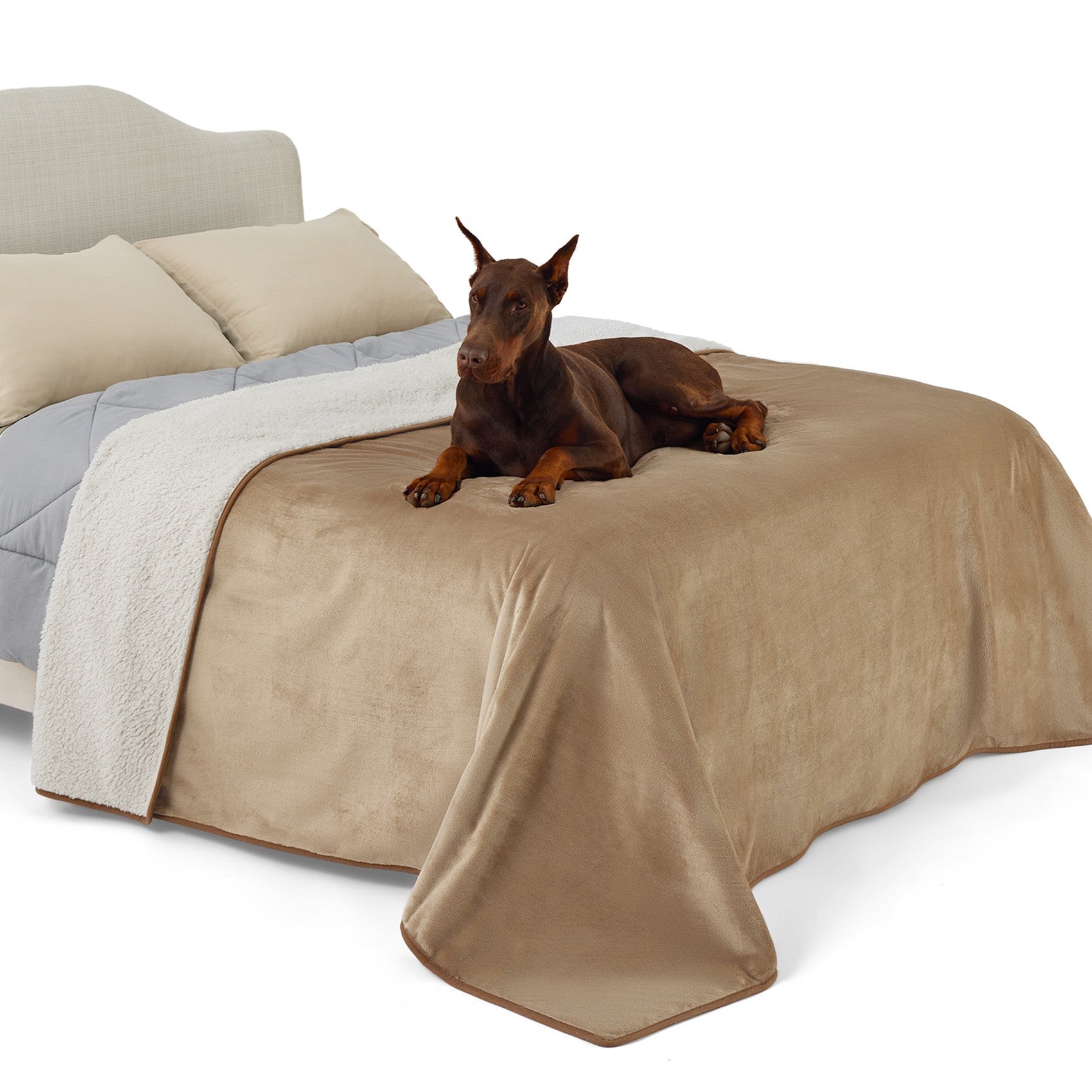 Reversible Sherpa and Microfiber Fleece Dog Blanket