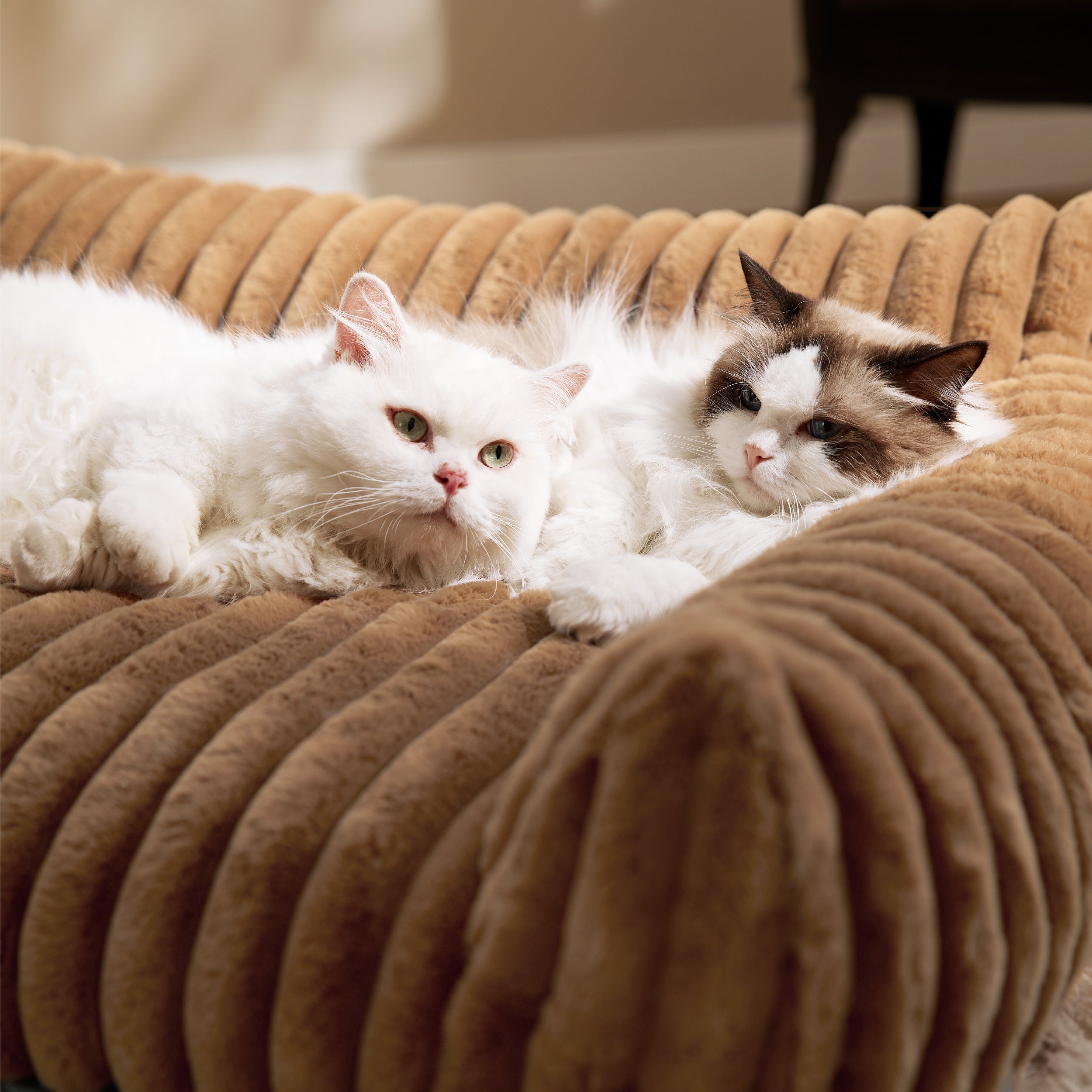Corduroy Fleece Cat Couch