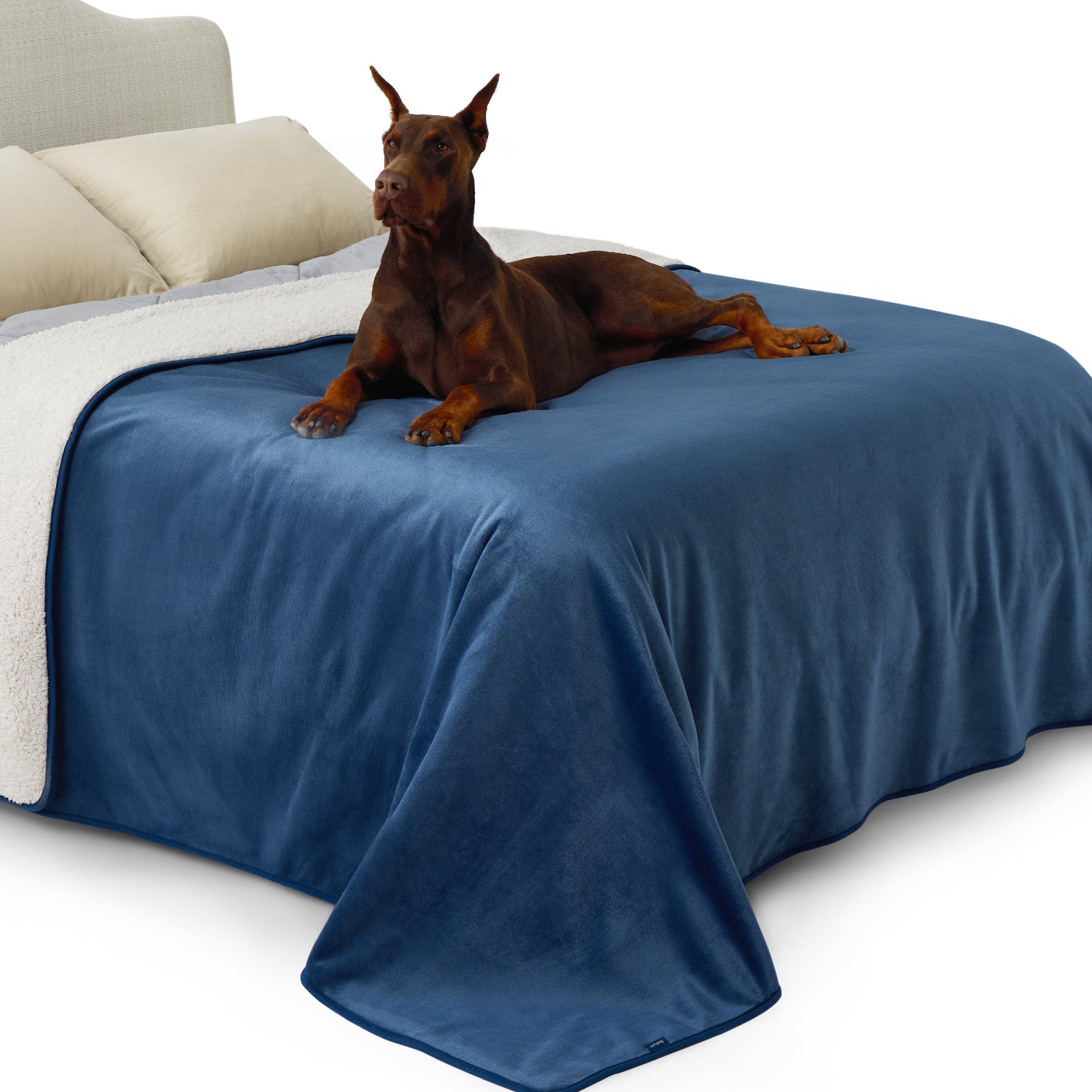 Reversible Sherpa and Microfiber Fleece Dog Blanket
