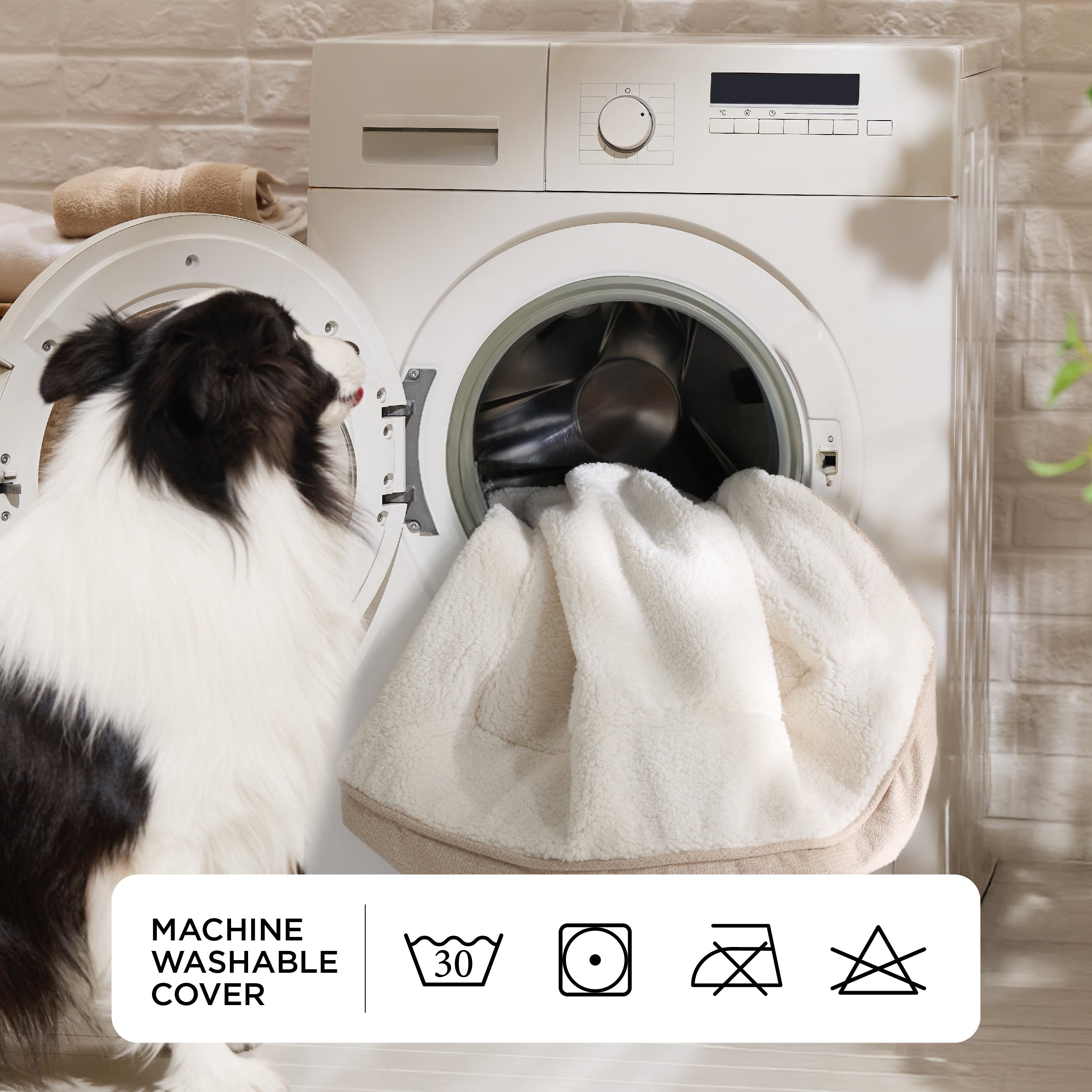 Supportive Dog Couch