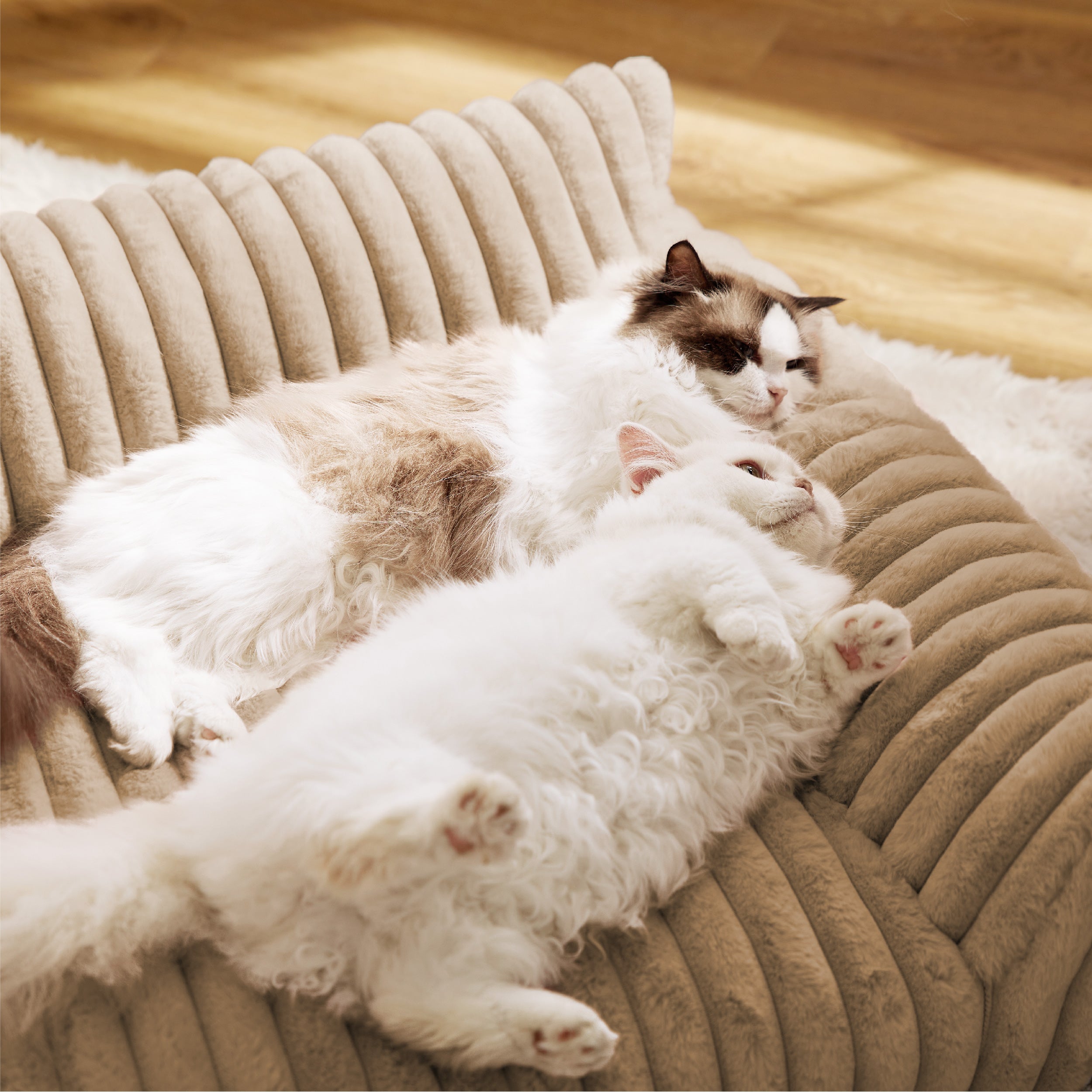Corduroy Fleece Cat Couch