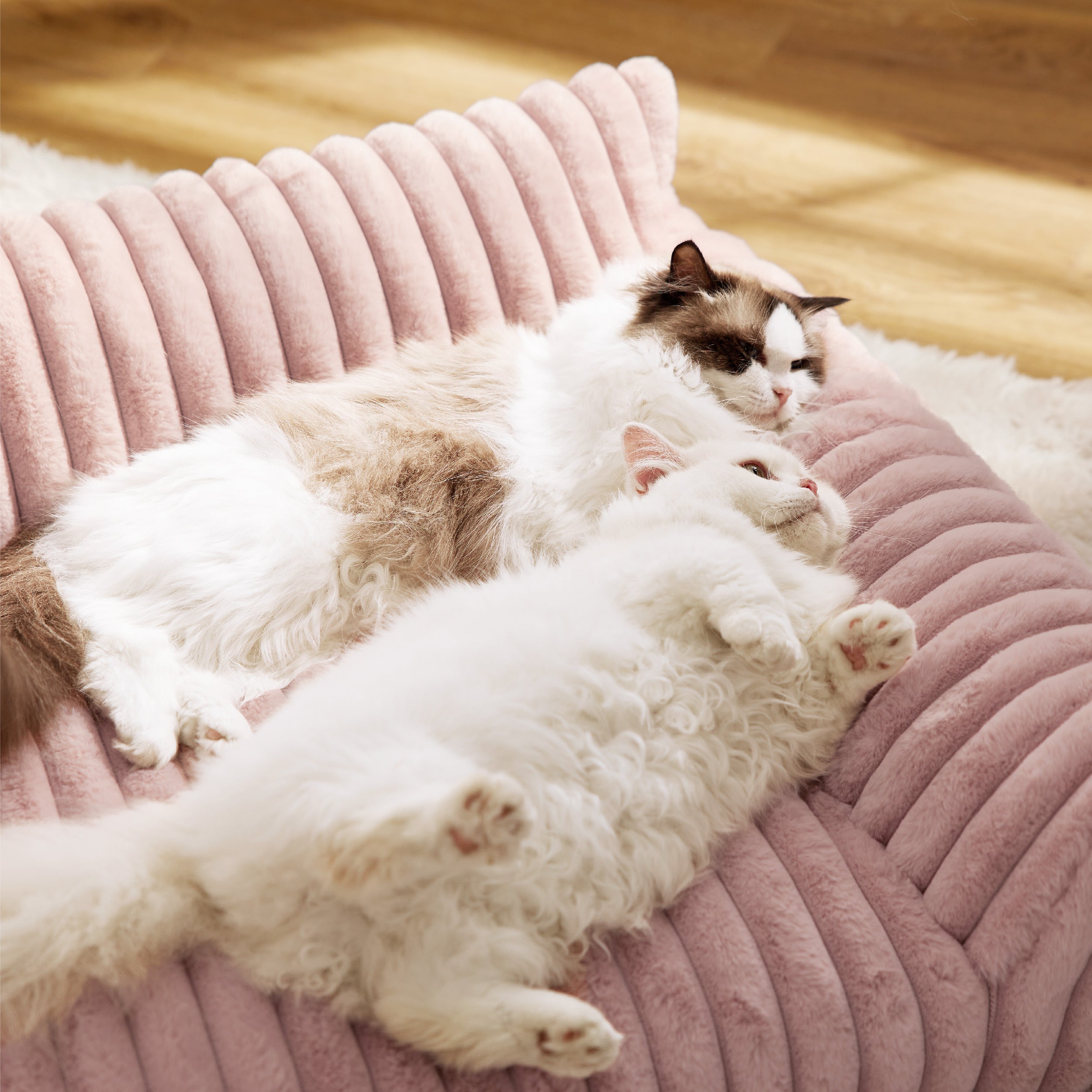 Corduroy Fleece Cat Couch