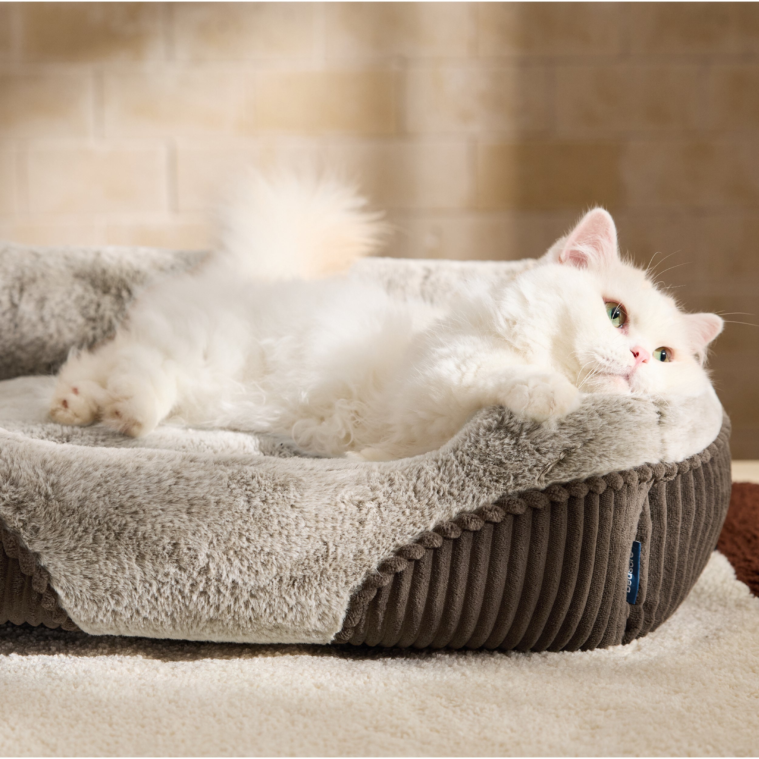 Rectangle Pet Bed