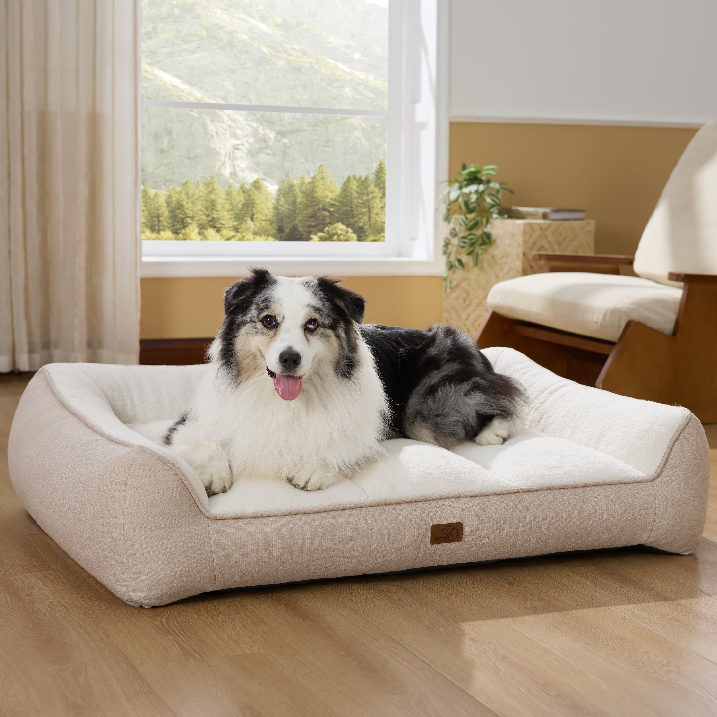 Supportive Dog Couch