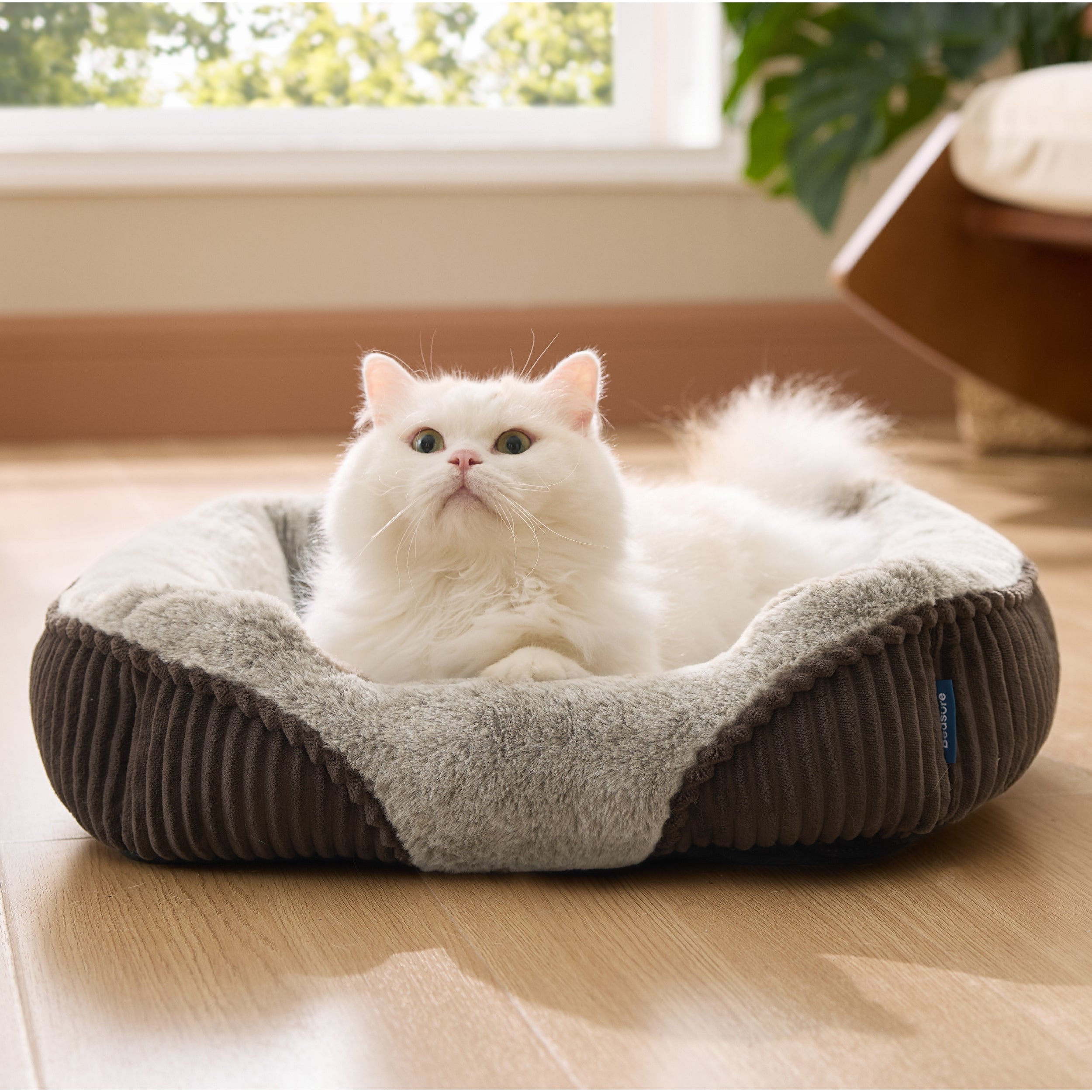 Rectangle Pet Bed