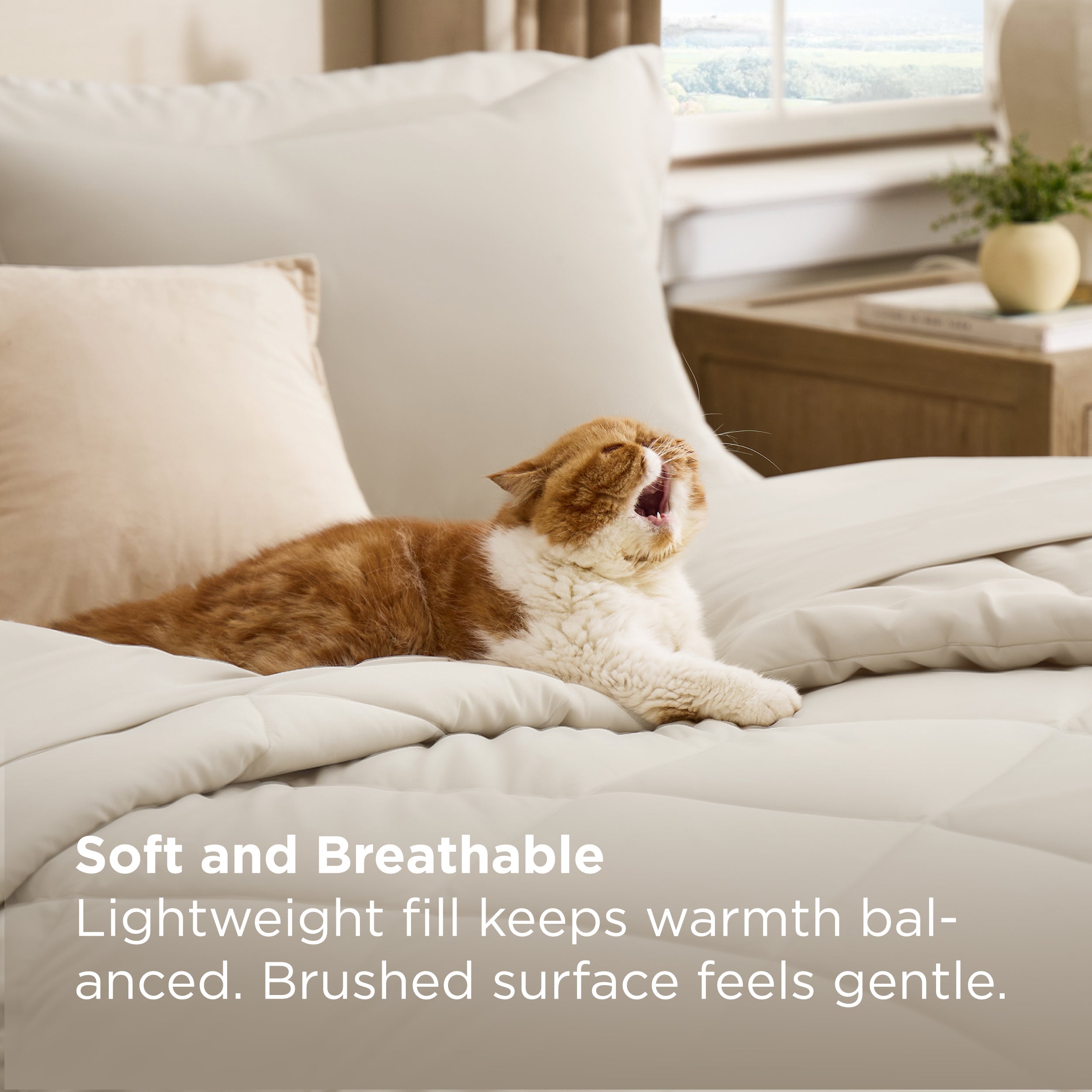 Gentlesoft® Diamond Quilted Bed-in-a-bag