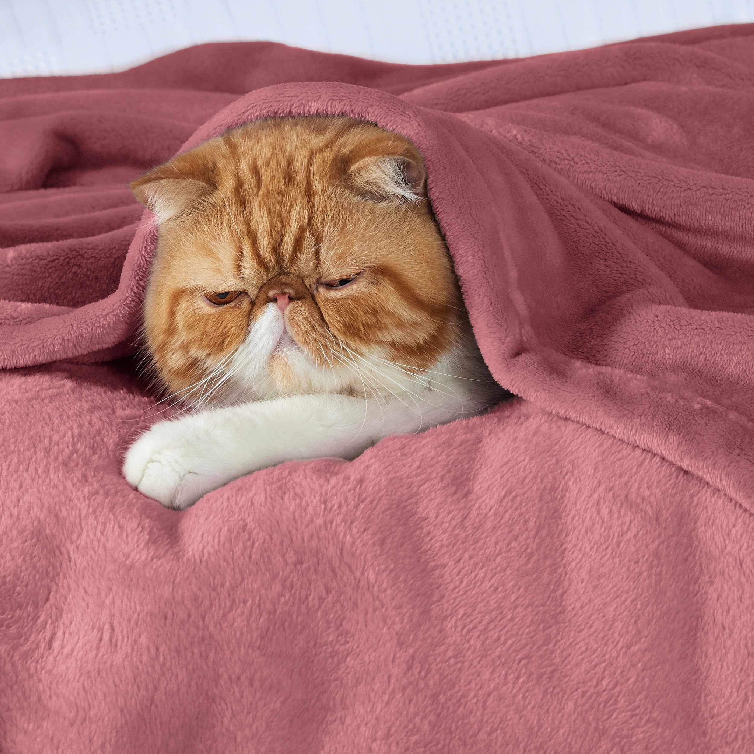 Flannel Fleece Blanket 280gsm