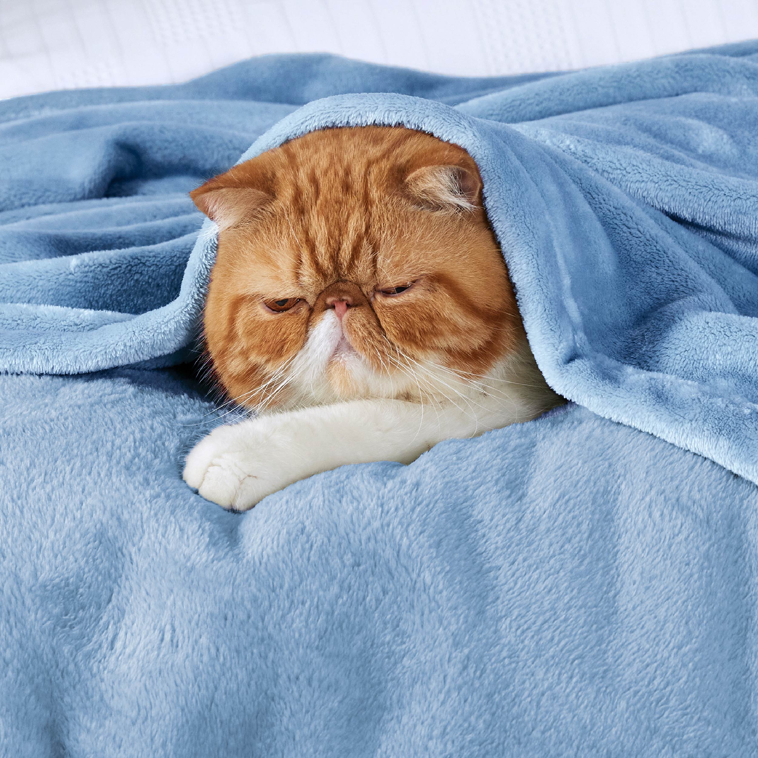 Flannel Fleece Blanket 300gsm