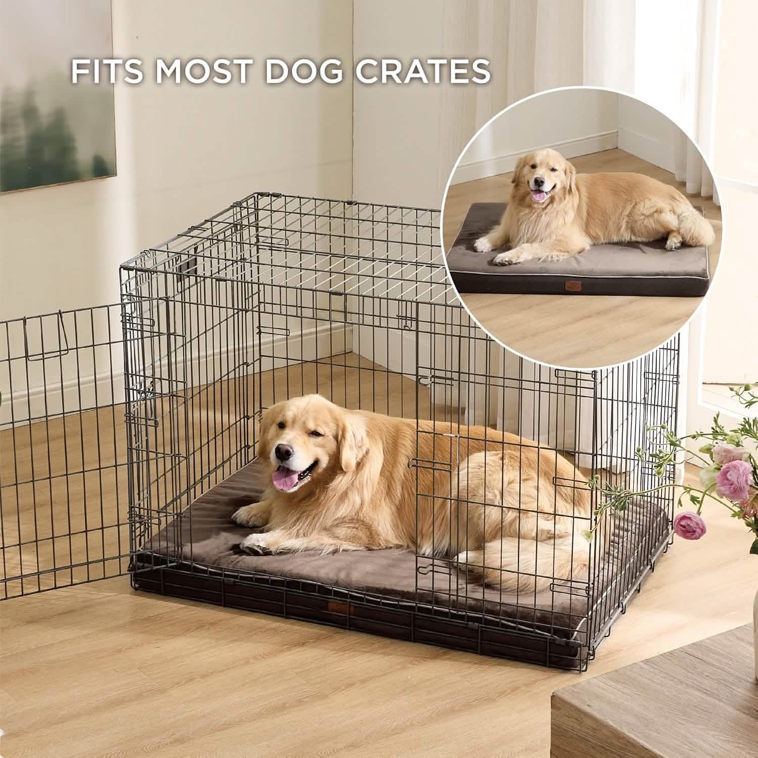 Orthopedic Memory Foam Dog Bed