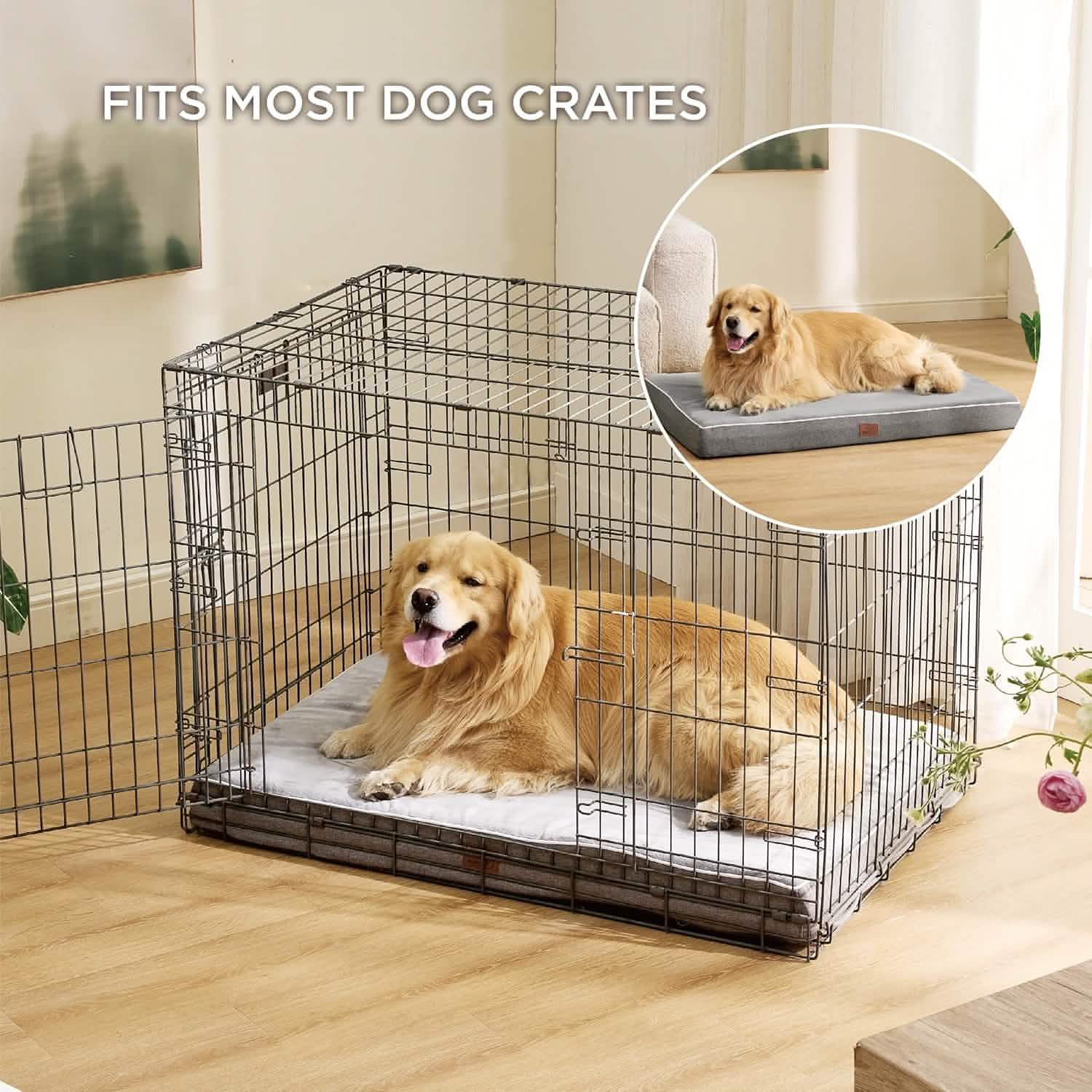 Orthopedic Memory Foam Dog Bed