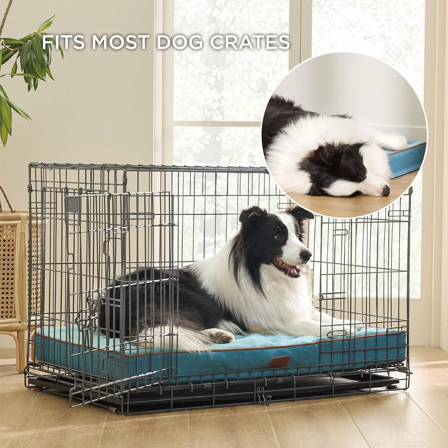 Orthopedic Memory Foam Dog Bed