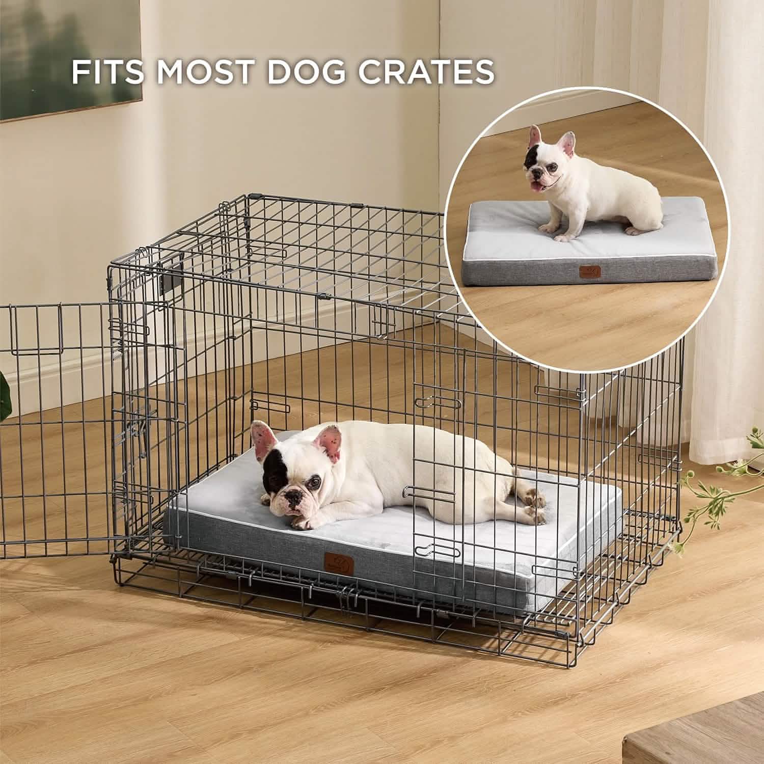 Orthopedic Memory Foam Dog Bed