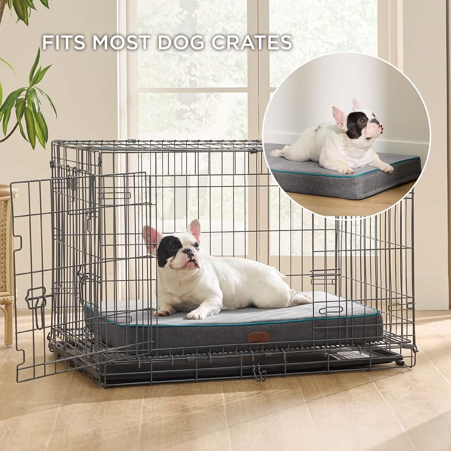 Orthopedic Memory Foam Dog Bed