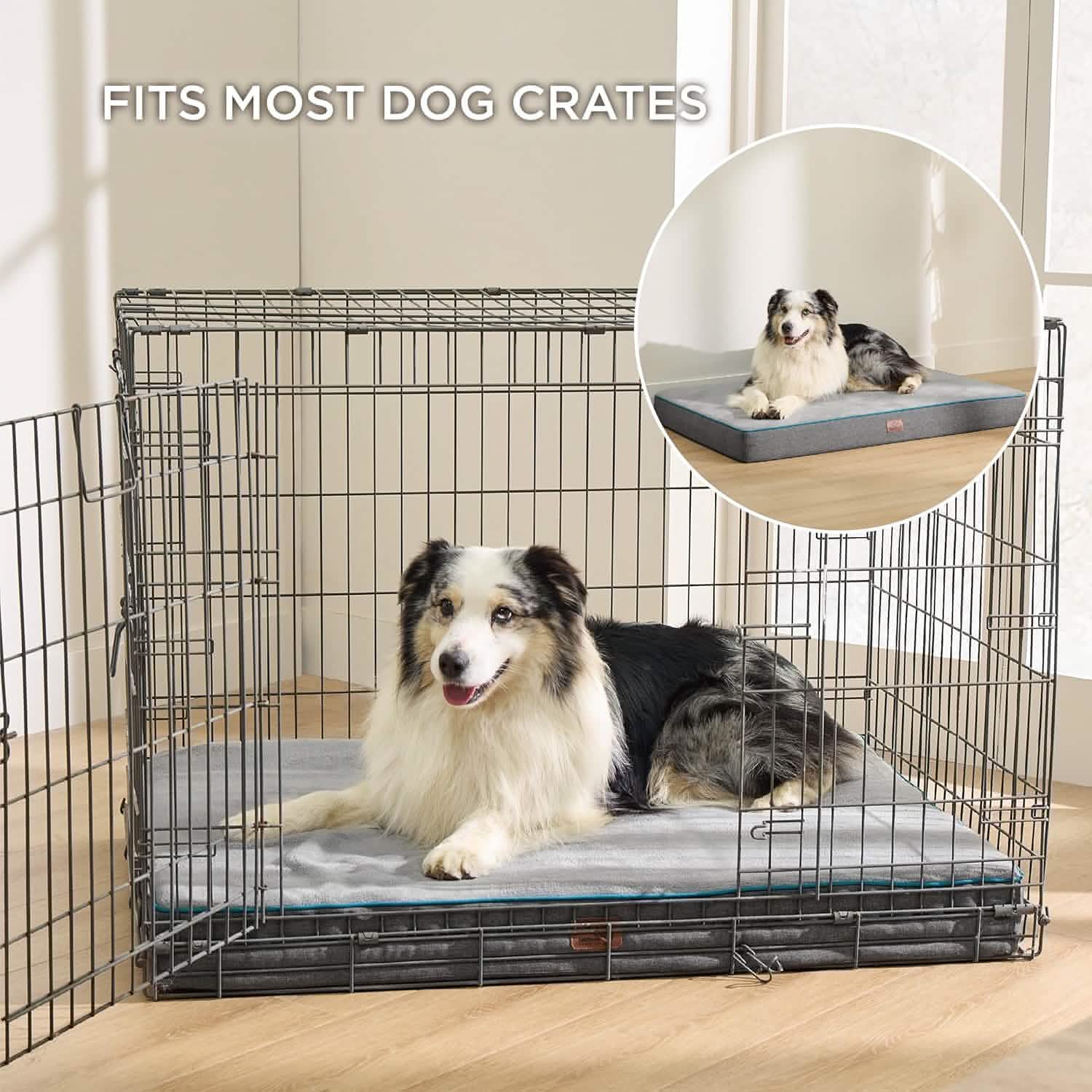 Orthopedic Memory Foam Dog Bed