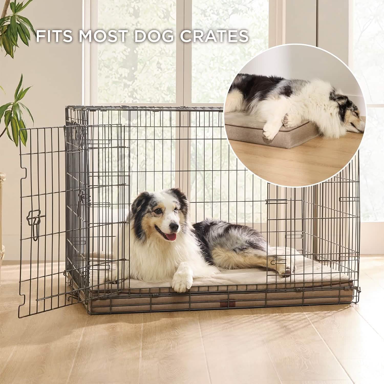 Orthopedic Memory Foam Dog Bed