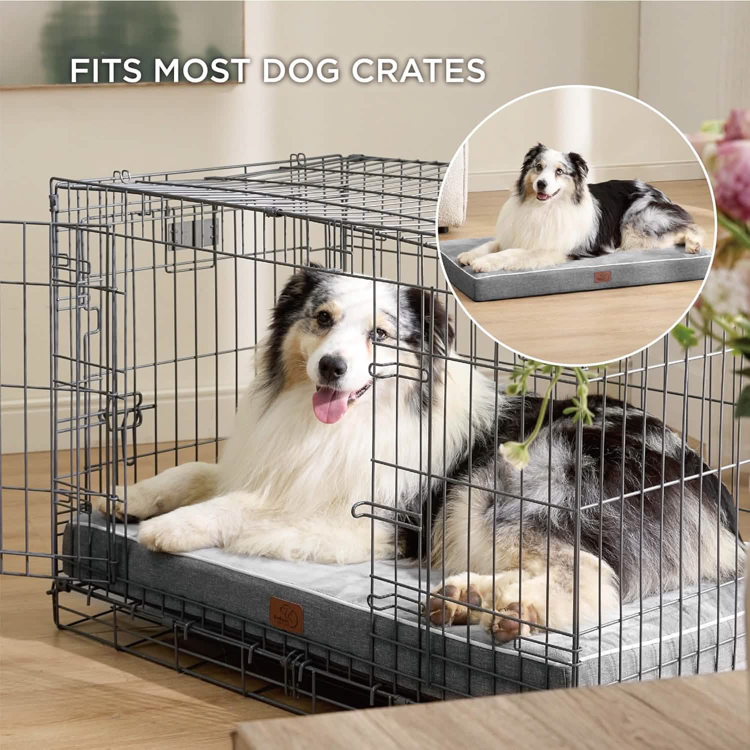 Orthopedic Memory Foam Dog Bed