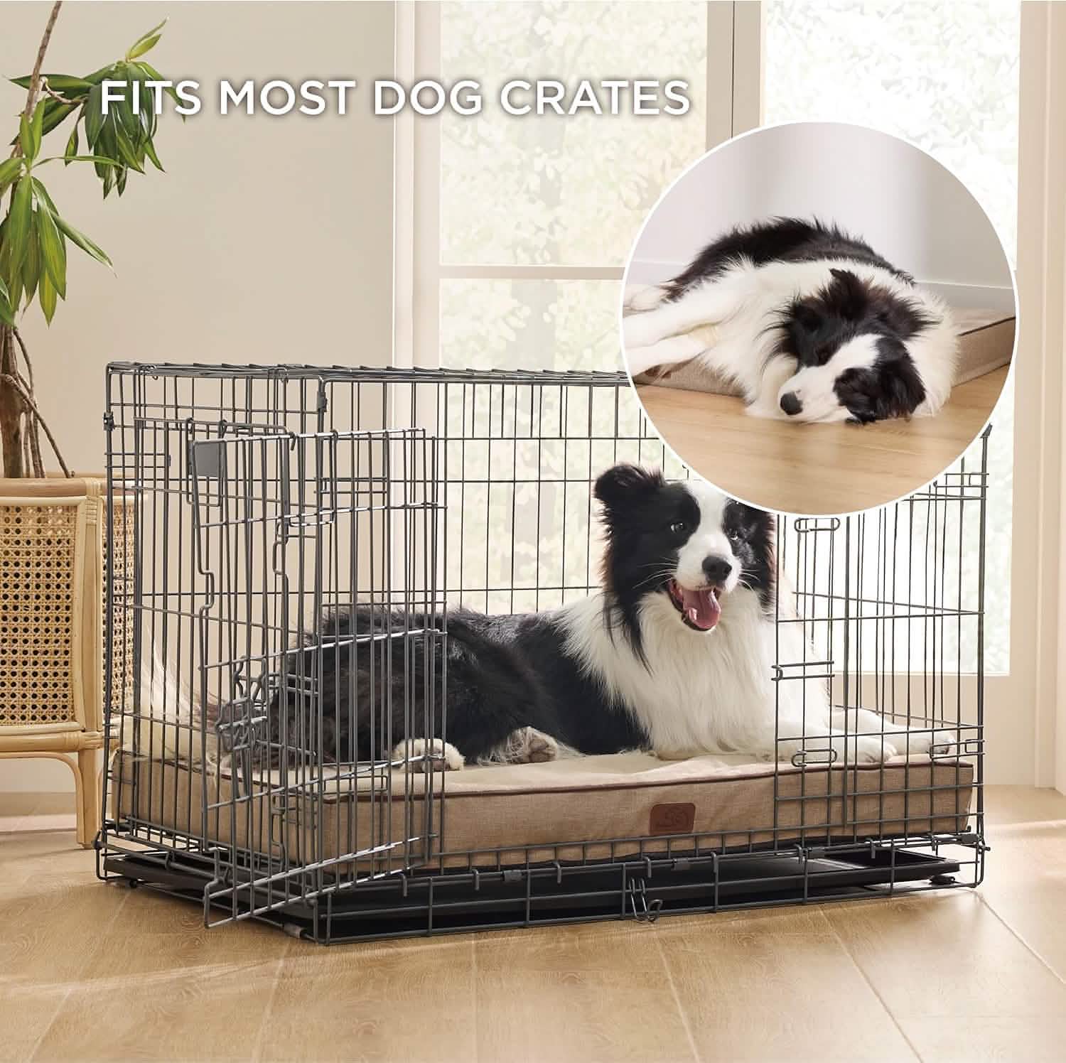 Orthopedic Memory Foam Dog Bed