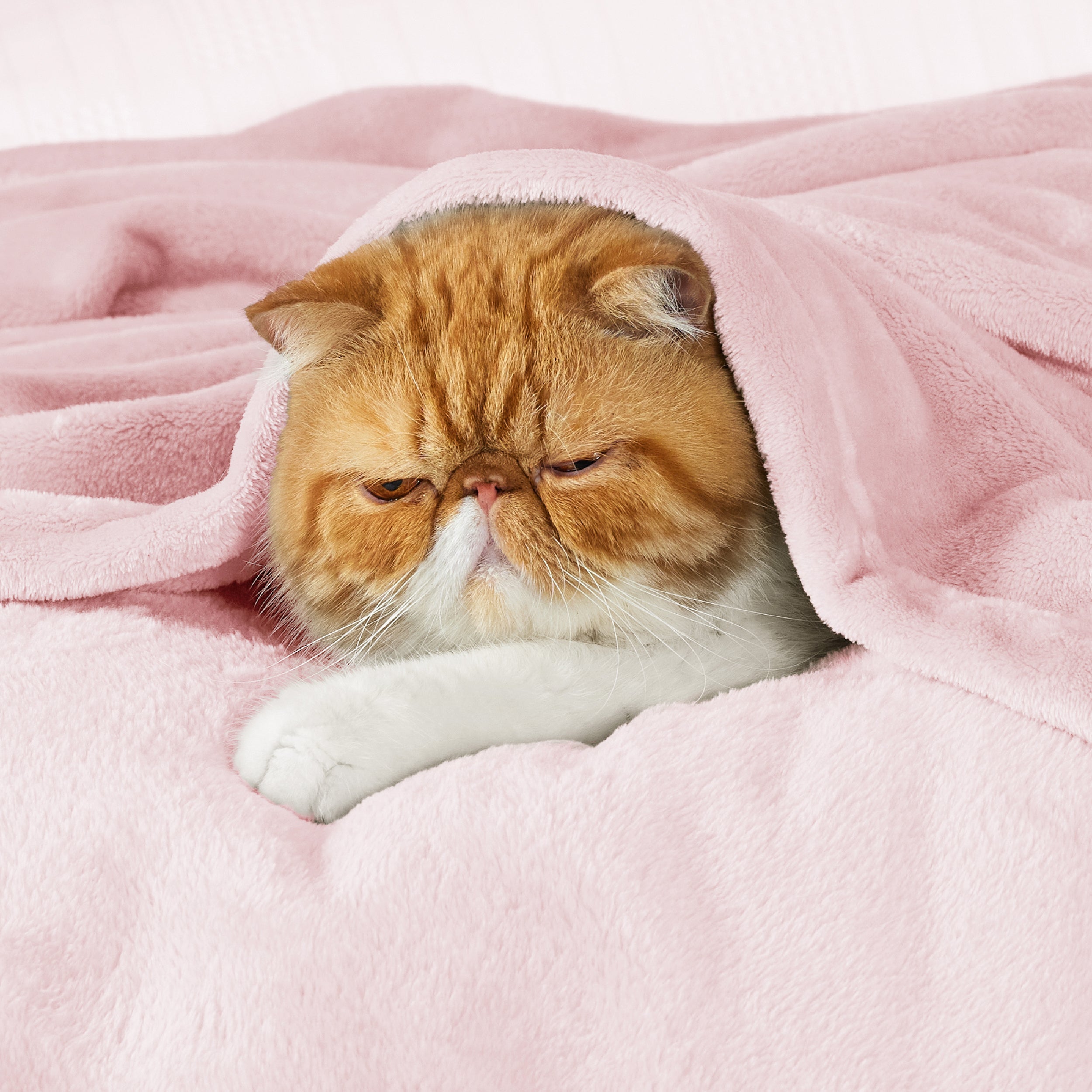 Flannel Fleece Blanket 300gsm