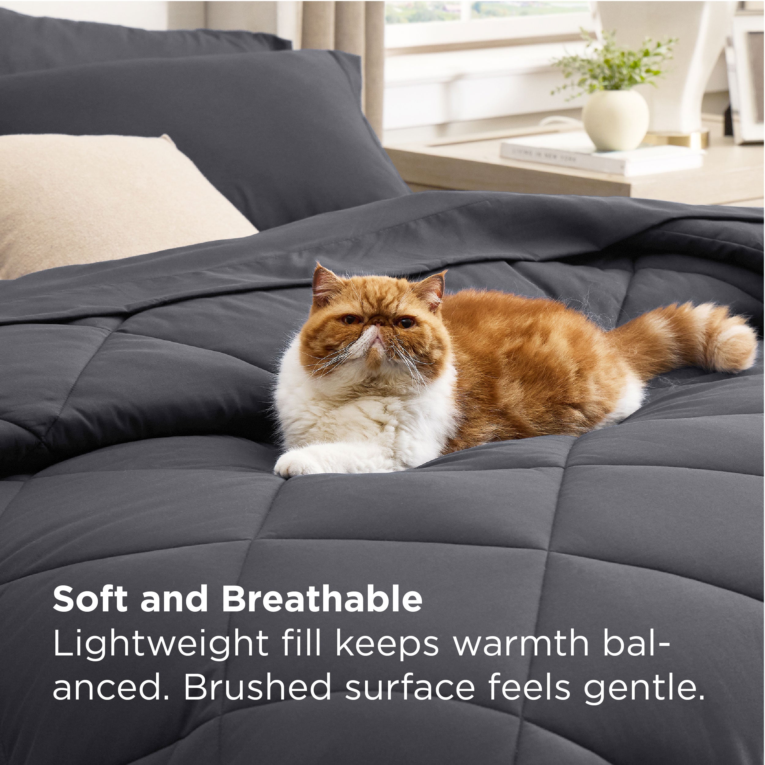 Gentlesoft® Diamond Quilted Bed-in-a-bag