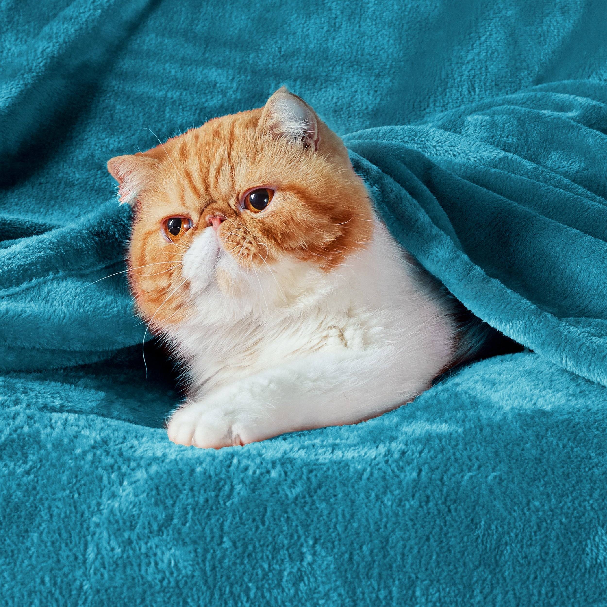 Flannel Fleece Blanket 300gsm