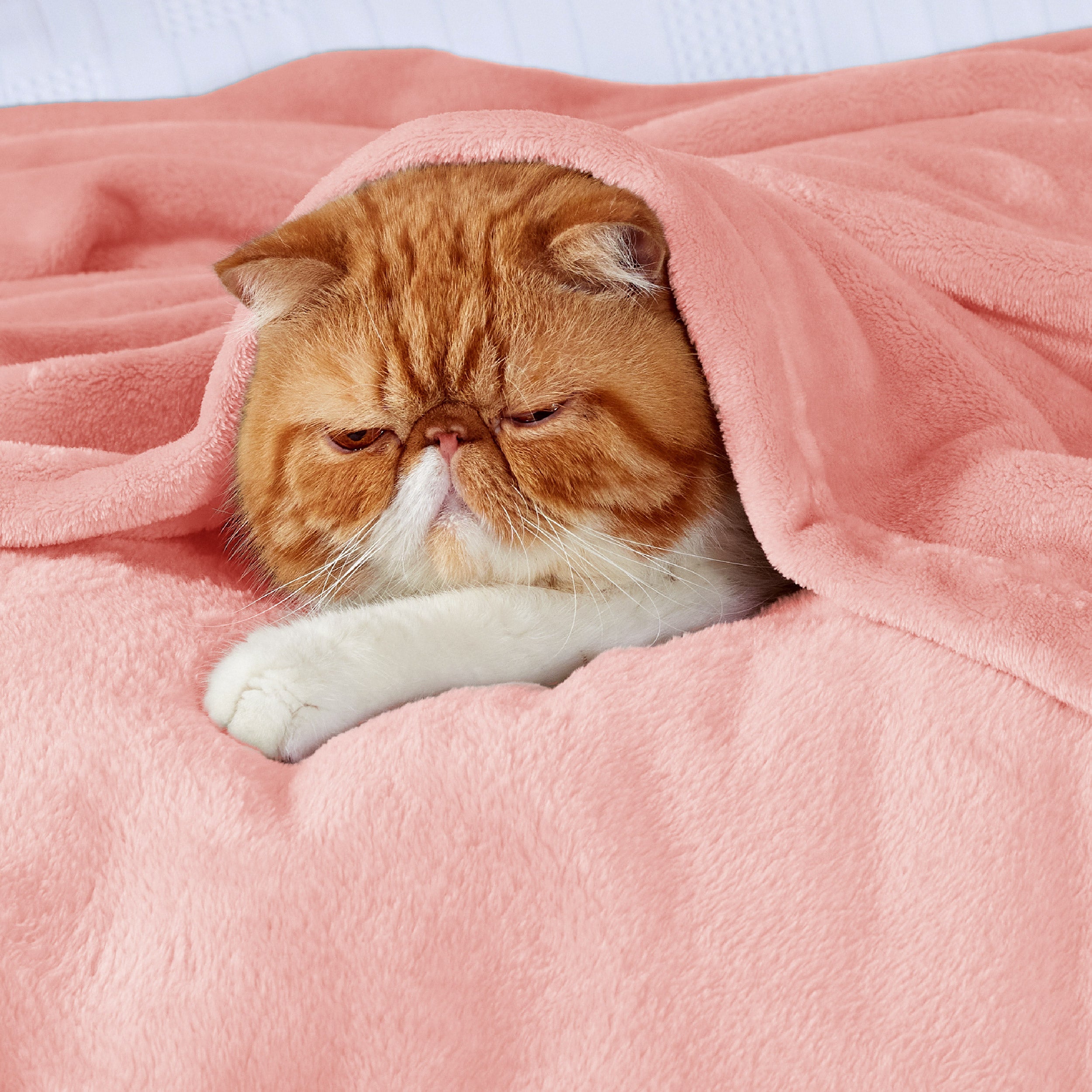 Flannel Fleece Blanket 300gsm