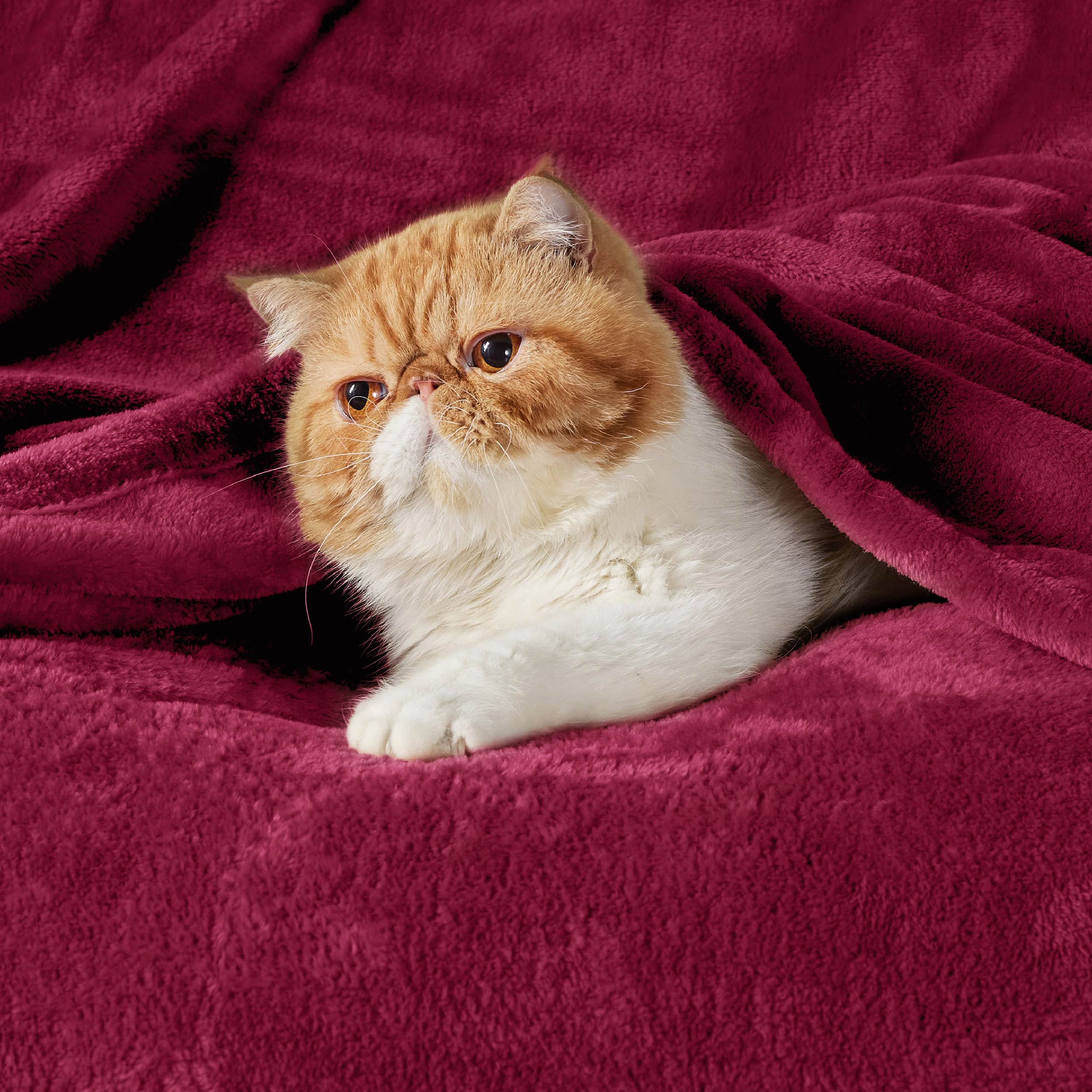 Flannel Fleece Blanket 300gsm