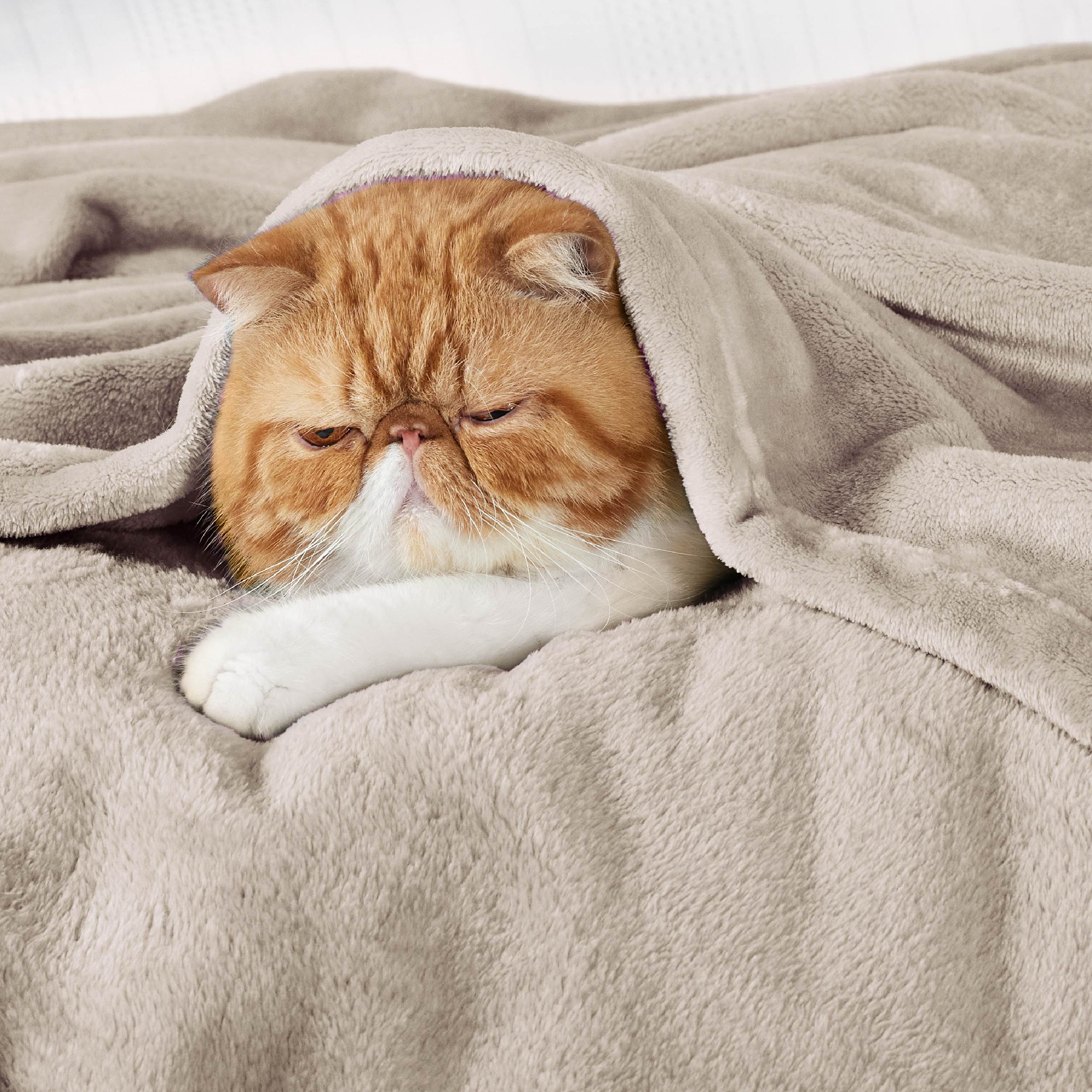 Flannel Fleece Blanket 300gsm