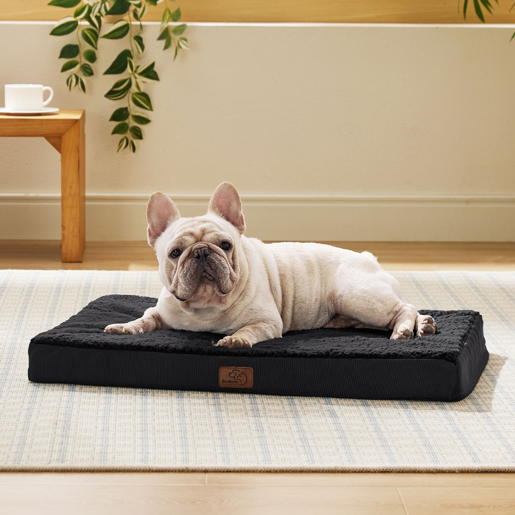Large Orthopedic Washable Dog Bed