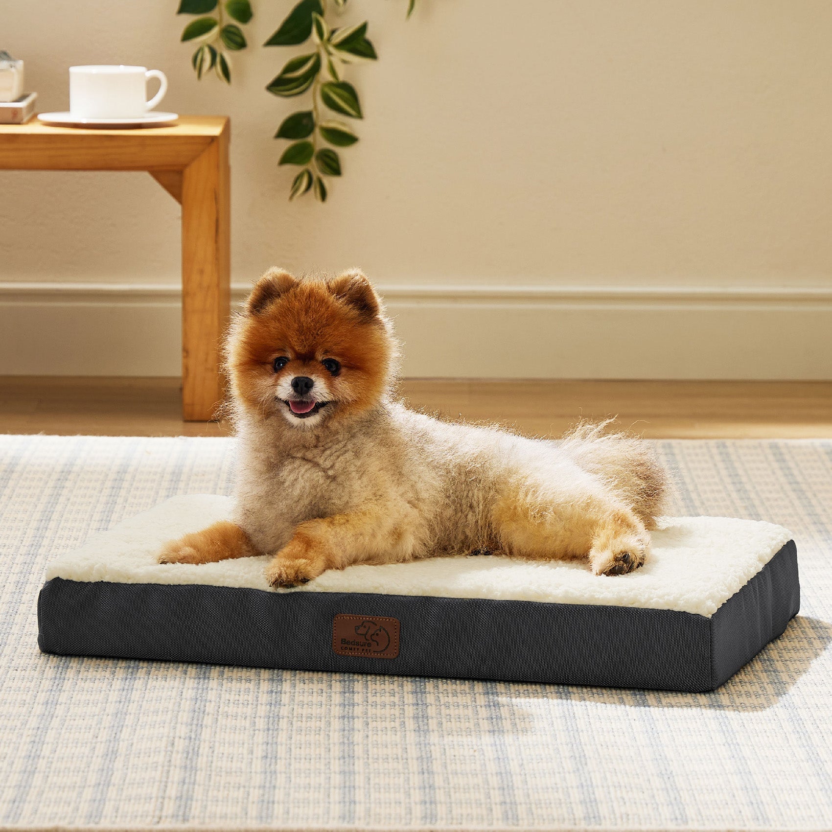 Large Orthopedic Washable Dog Bed