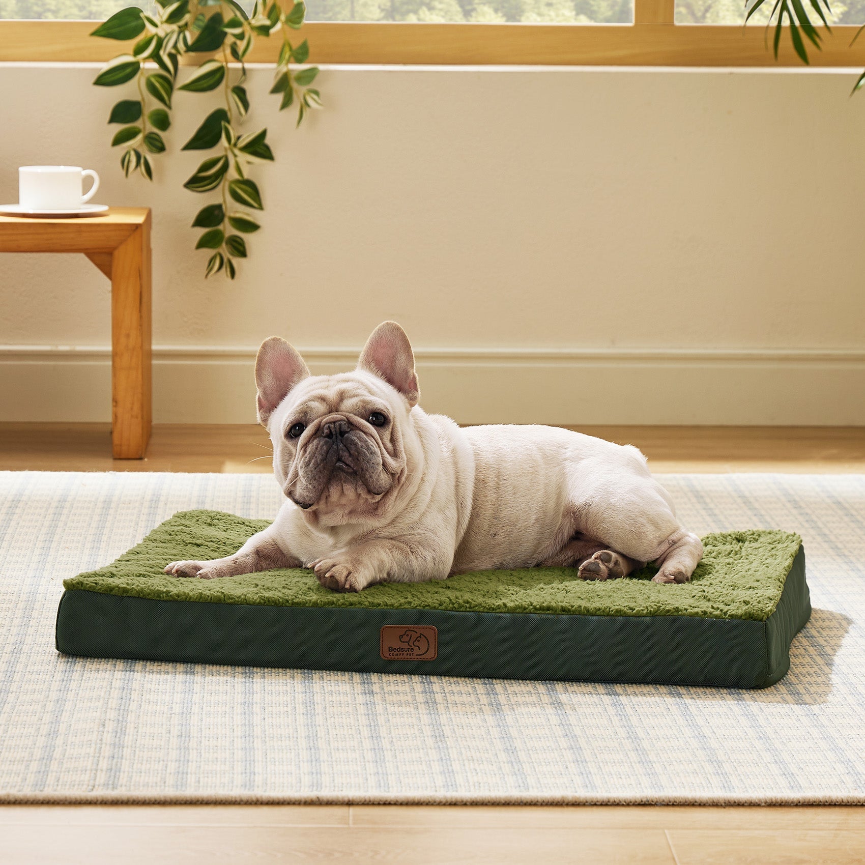 Large Orthopedic Washable Dog Bed