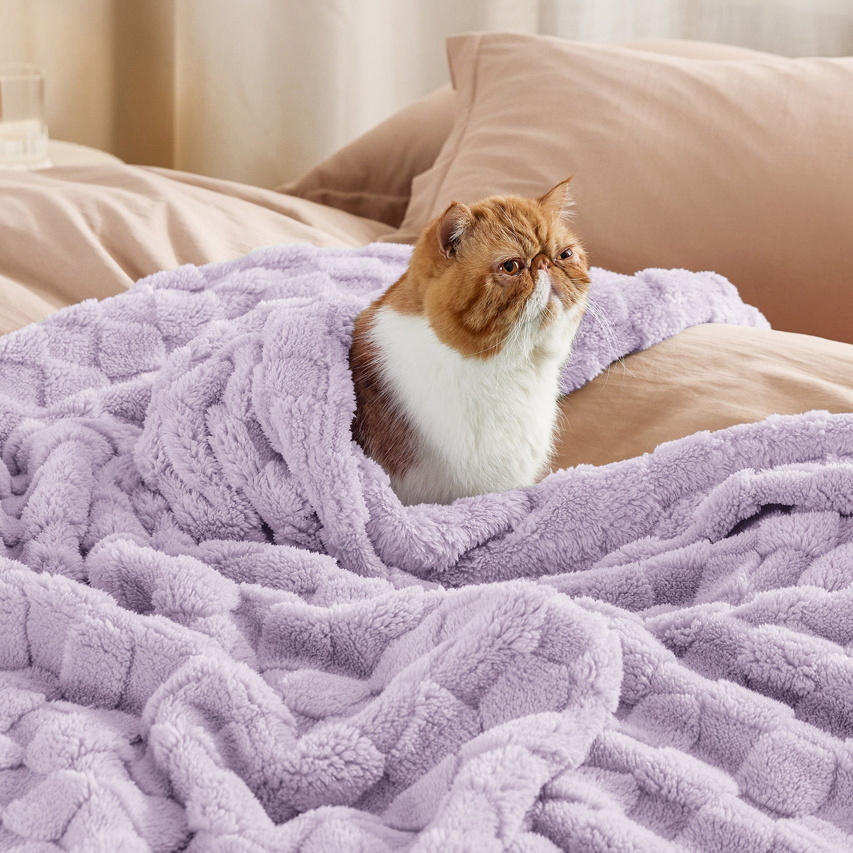 Jacquard Shaggy Sherpa Blanket