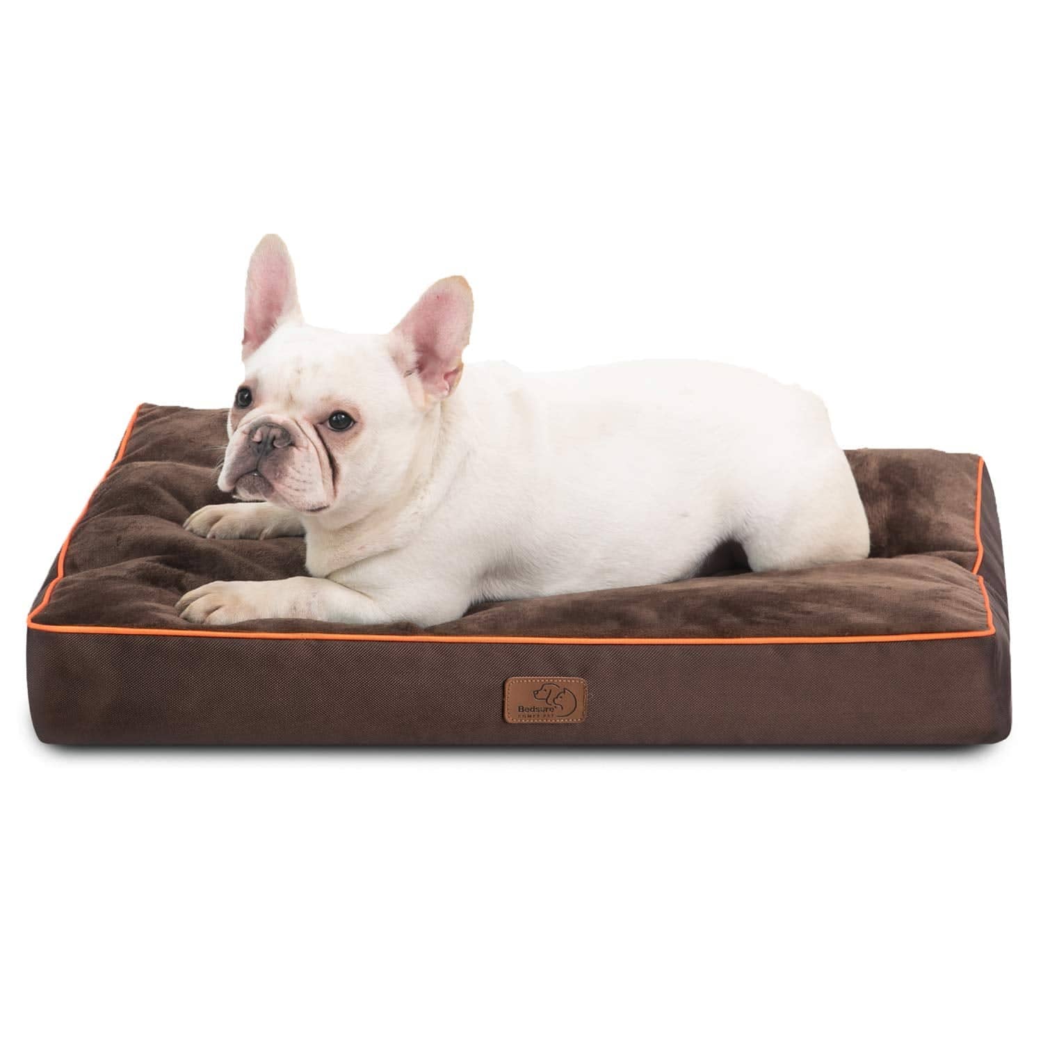 Brown plush waterproof dog bed with orange piping, featuring a white French Bulldog resting comfortably.
