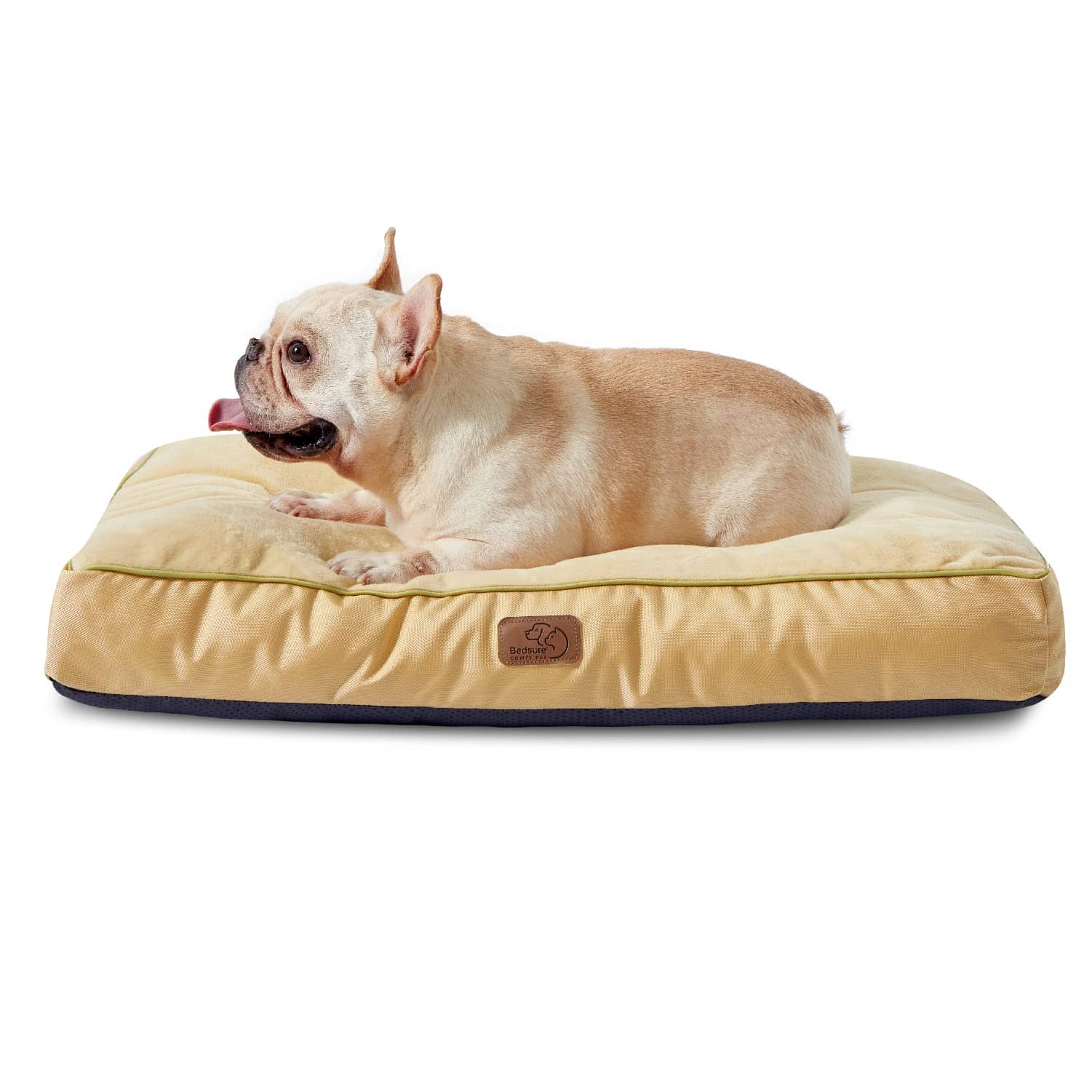 Yellow plush waterproof dog bed with green trim & navy base, with French Bulldog resting comfortably.