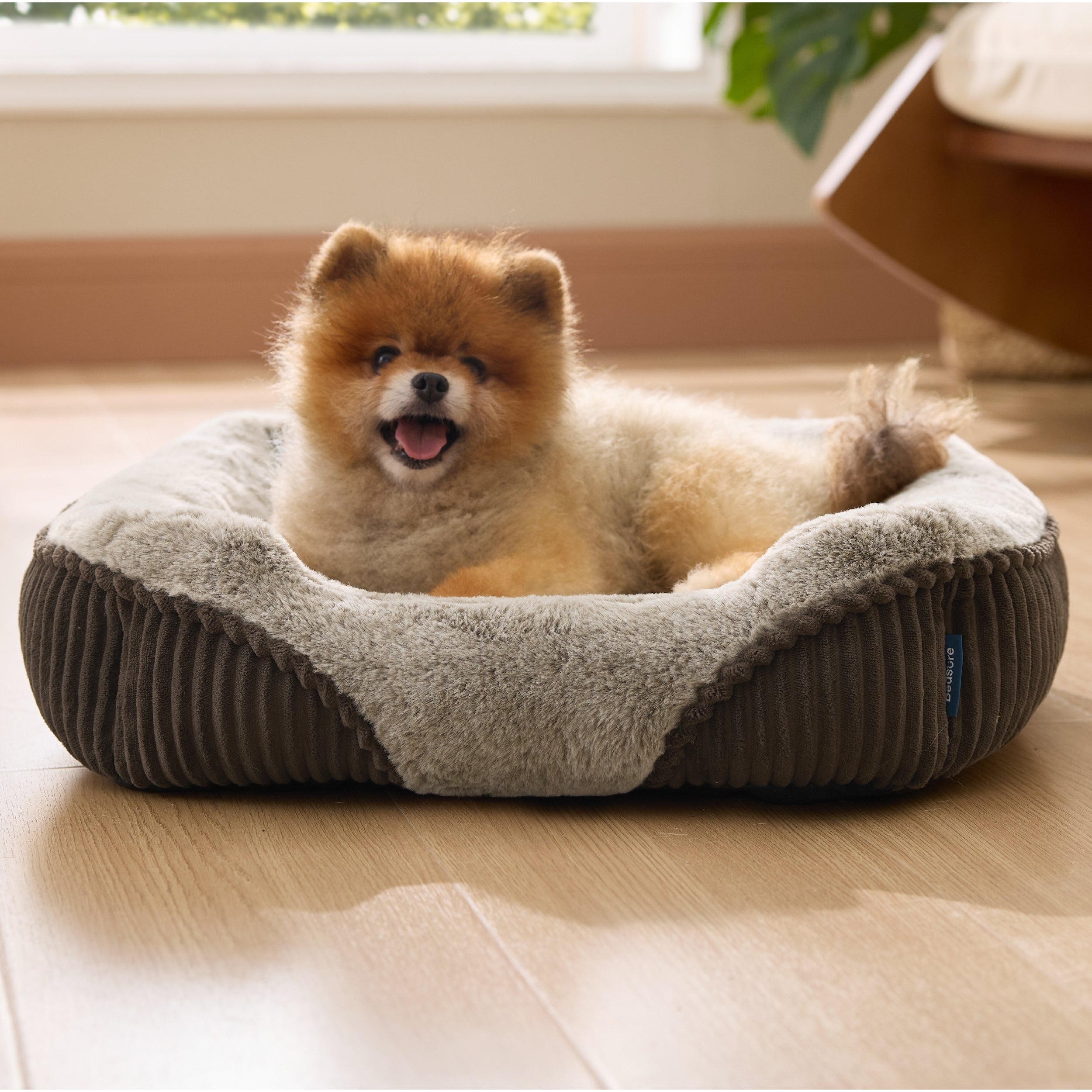 Rectangle Pet Bed