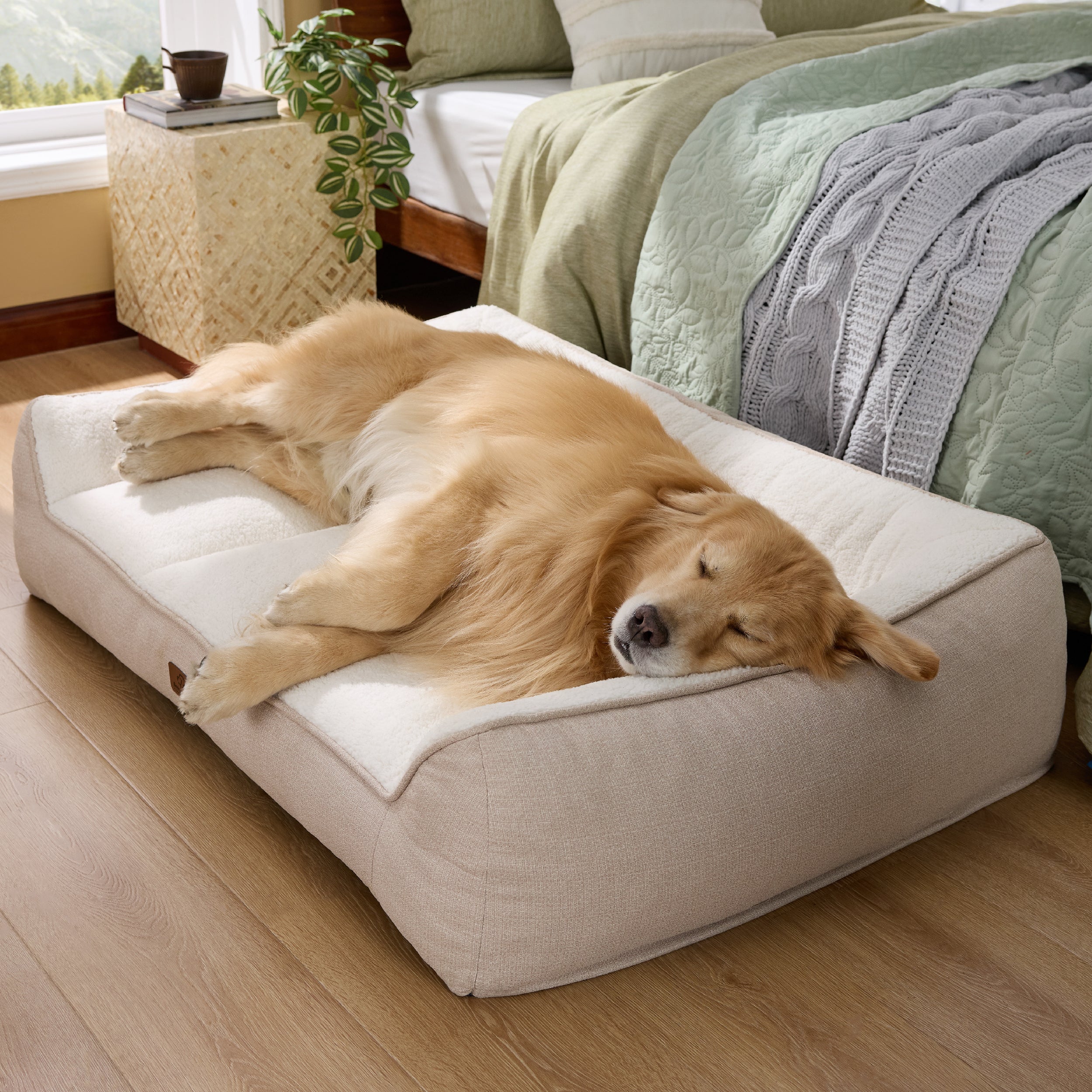 Supportive Dog Couch