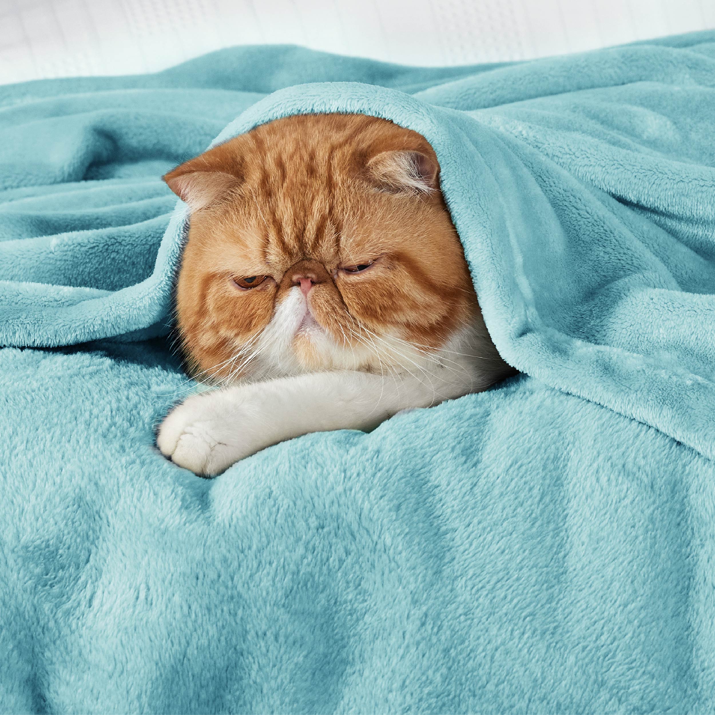 Flannel Fleece Blanket 280gsm