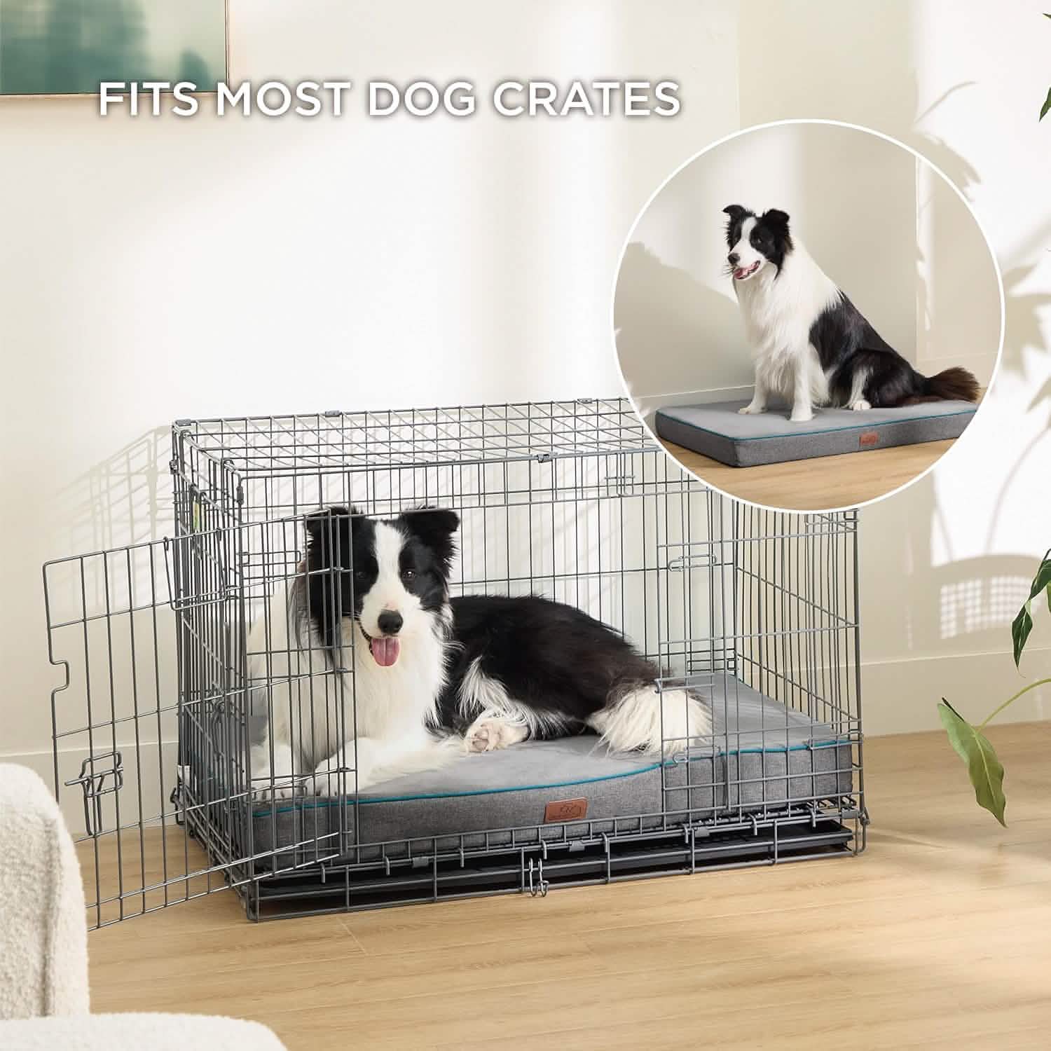 Orthopedic Memory Foam Dog Bed