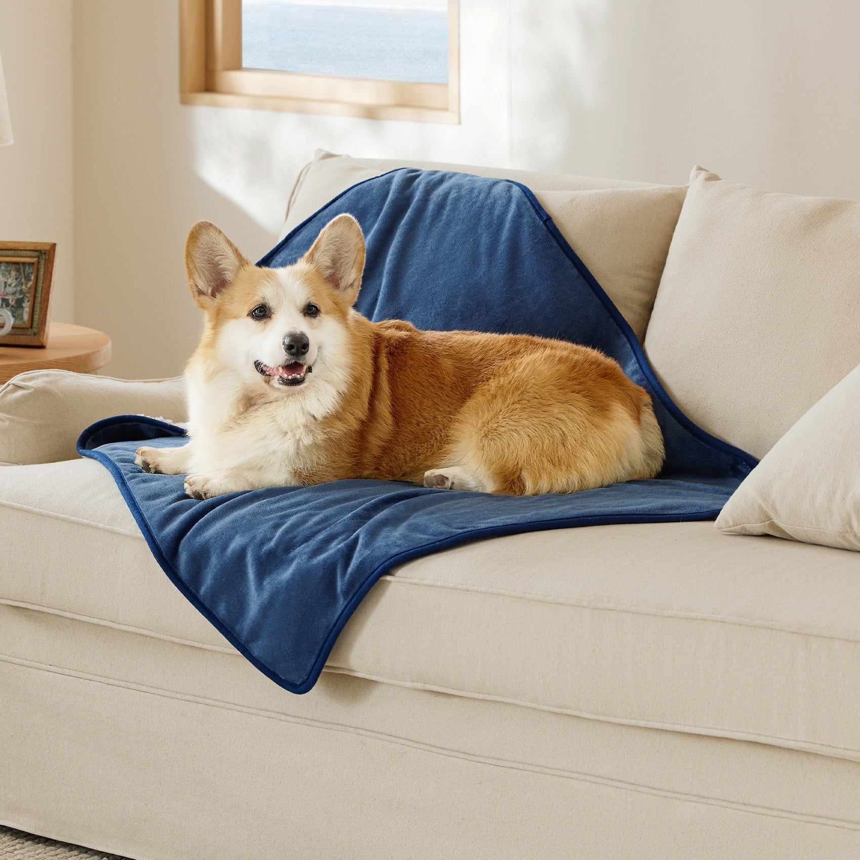 Reversible Sherpa and Microfiber Fleece Dog Blanket