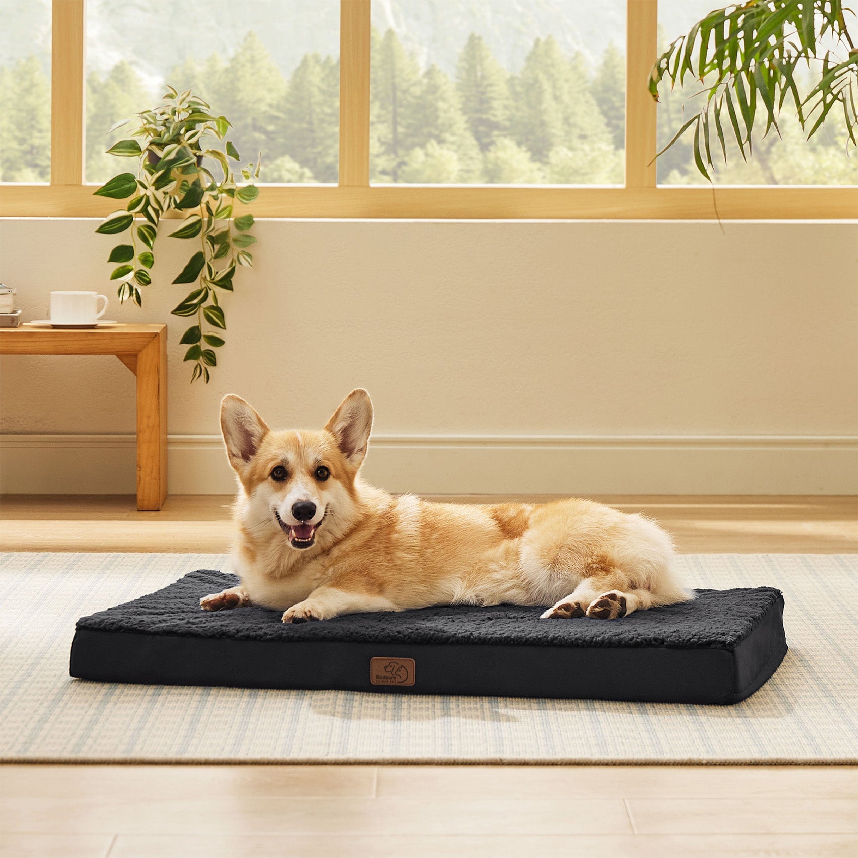 Large Orthopedic Washable Dog Bed