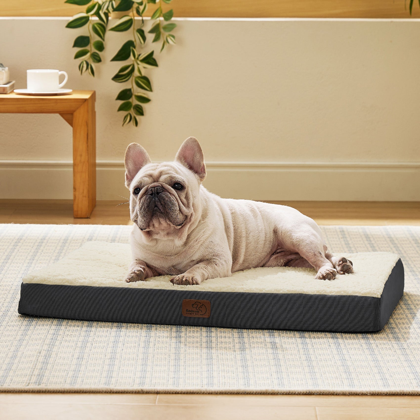 Large Orthopedic Washable Dog Bed
