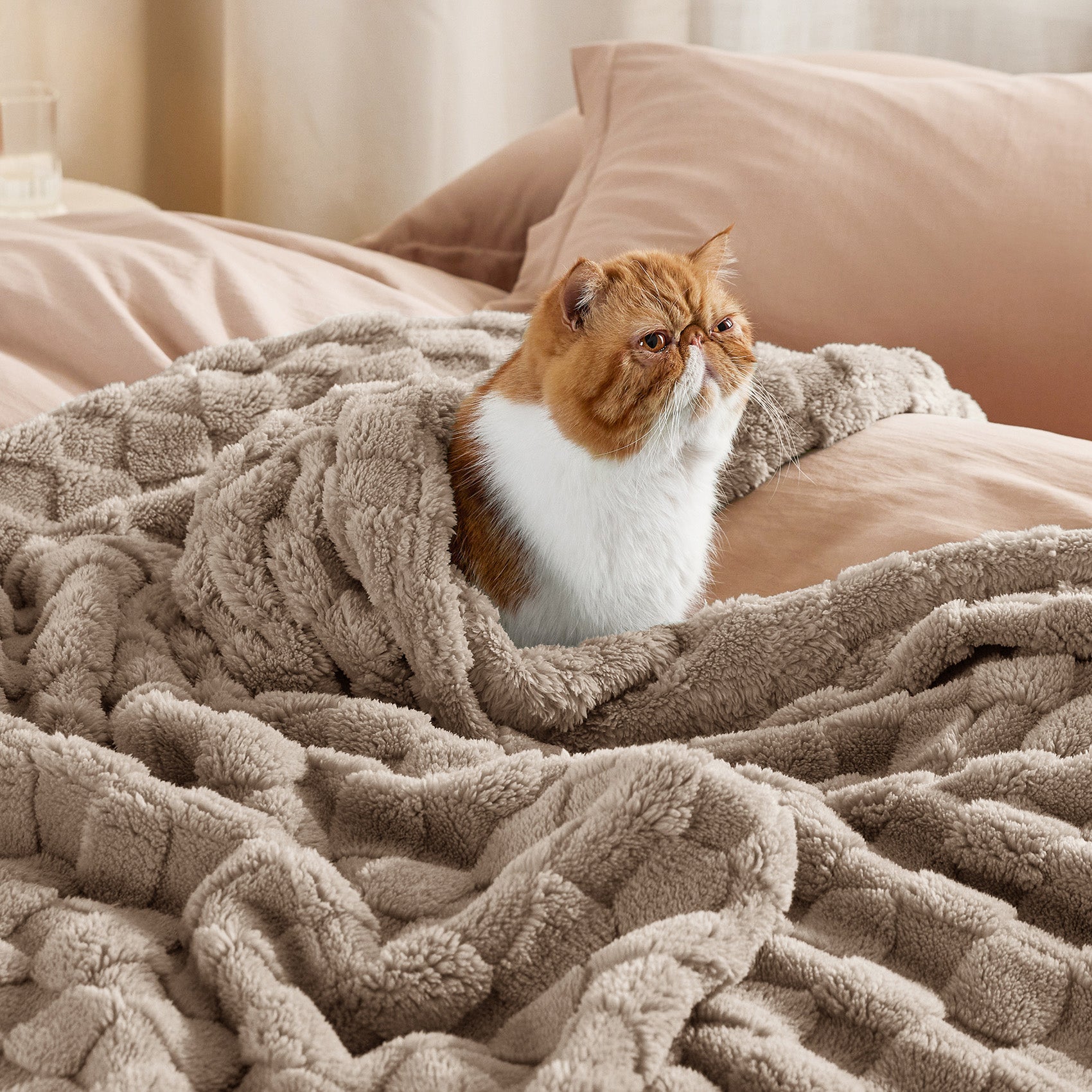 Jacquard Shaggy Sherpa Blanket