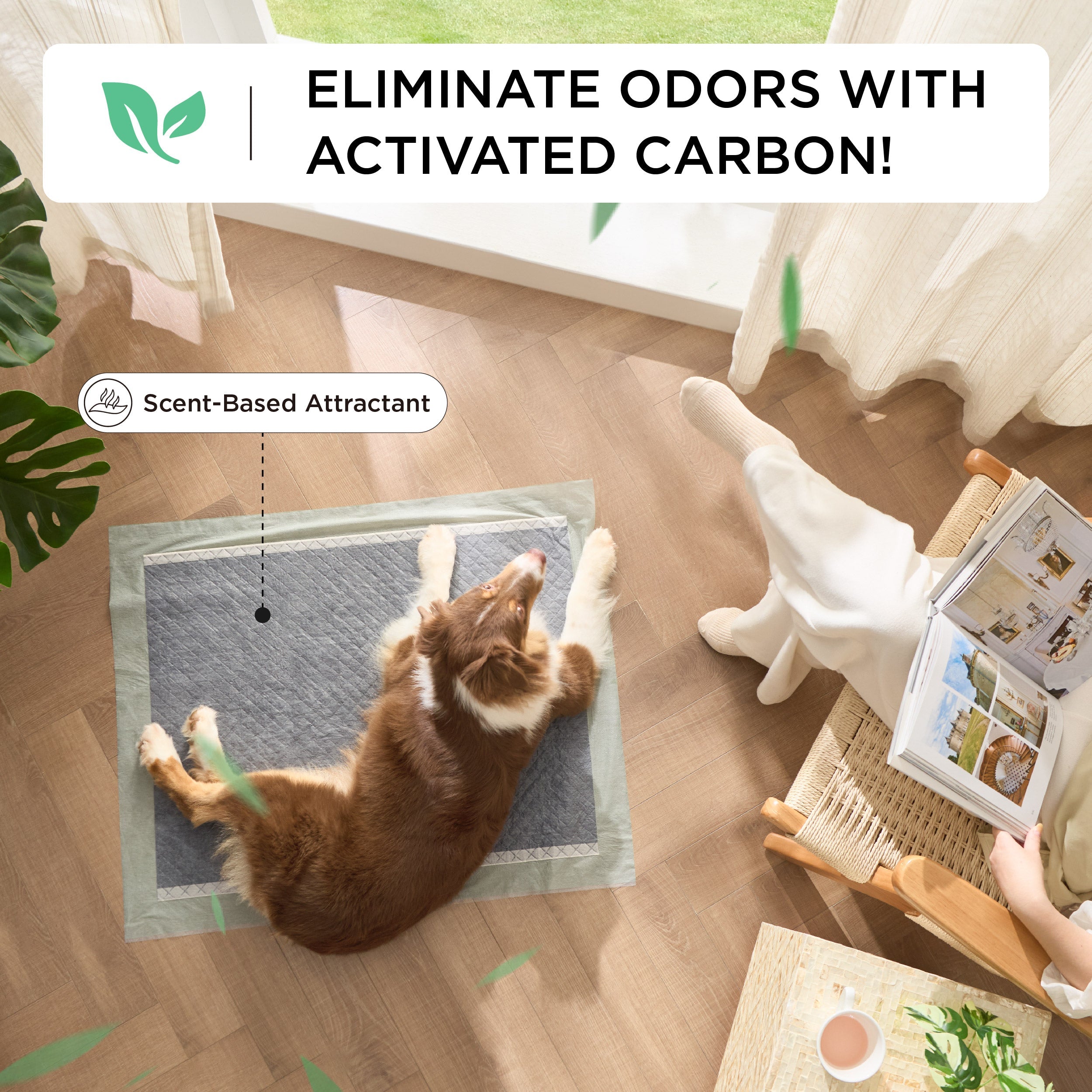 Disposable Dog Pee Pads