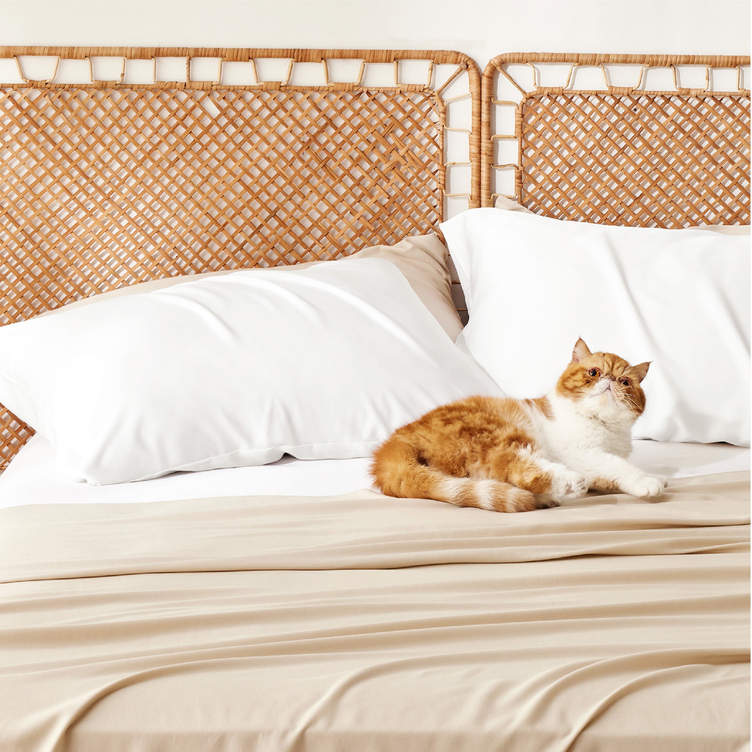 GentleSoft® Rayon Derived From Bamboo Pillowcases