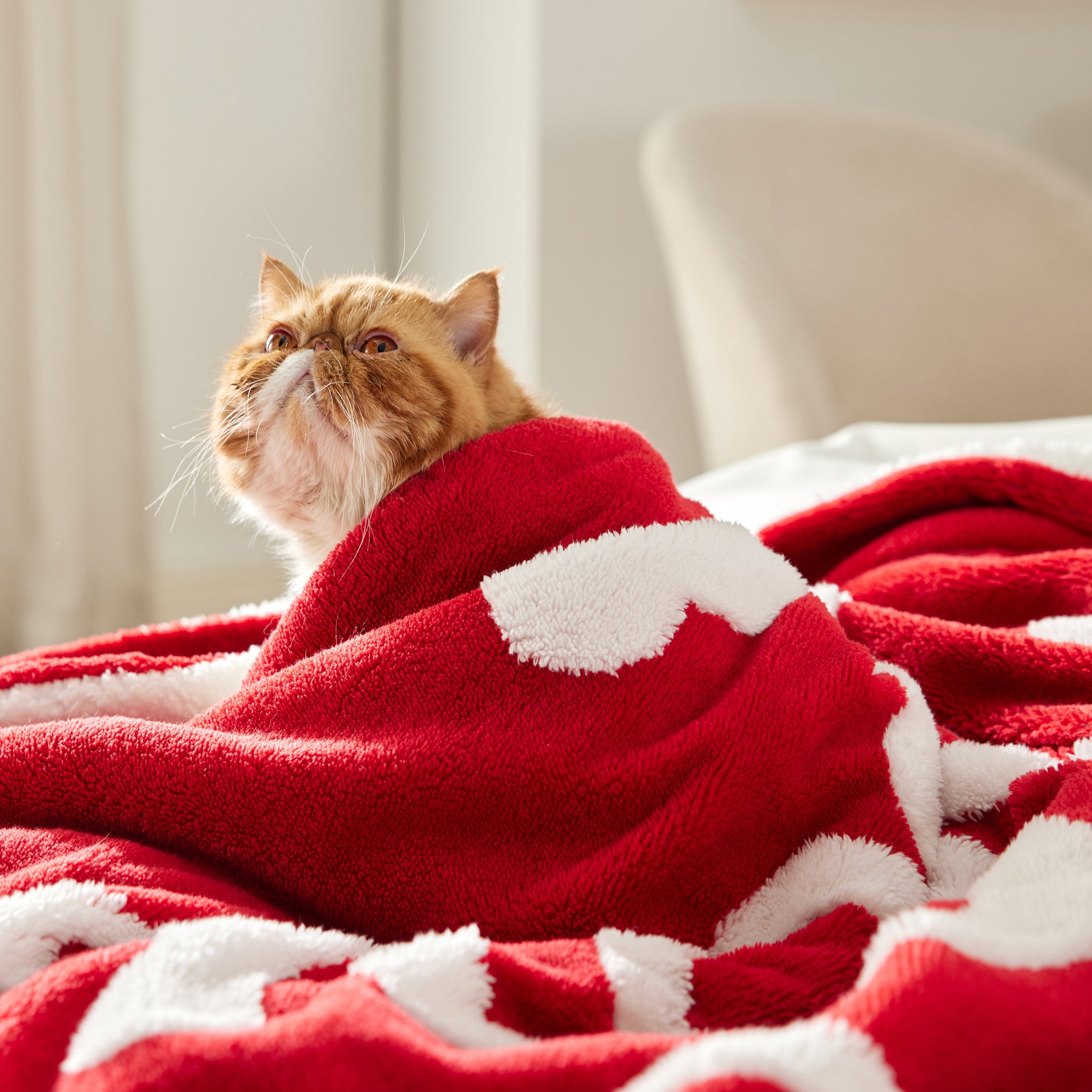 Valentine’s Blanket