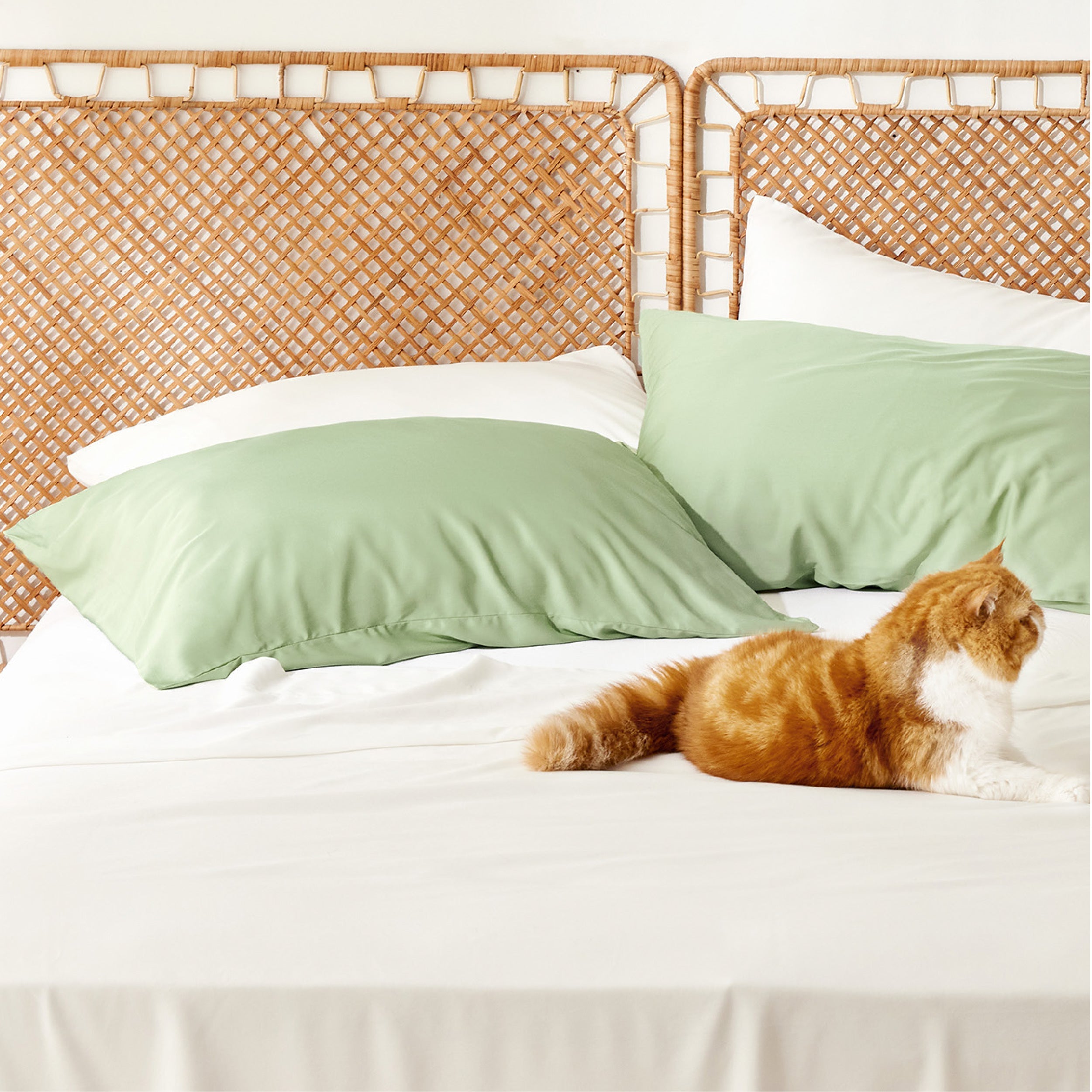 GentleSoft® Rayon Derived From Bamboo Pillowcases