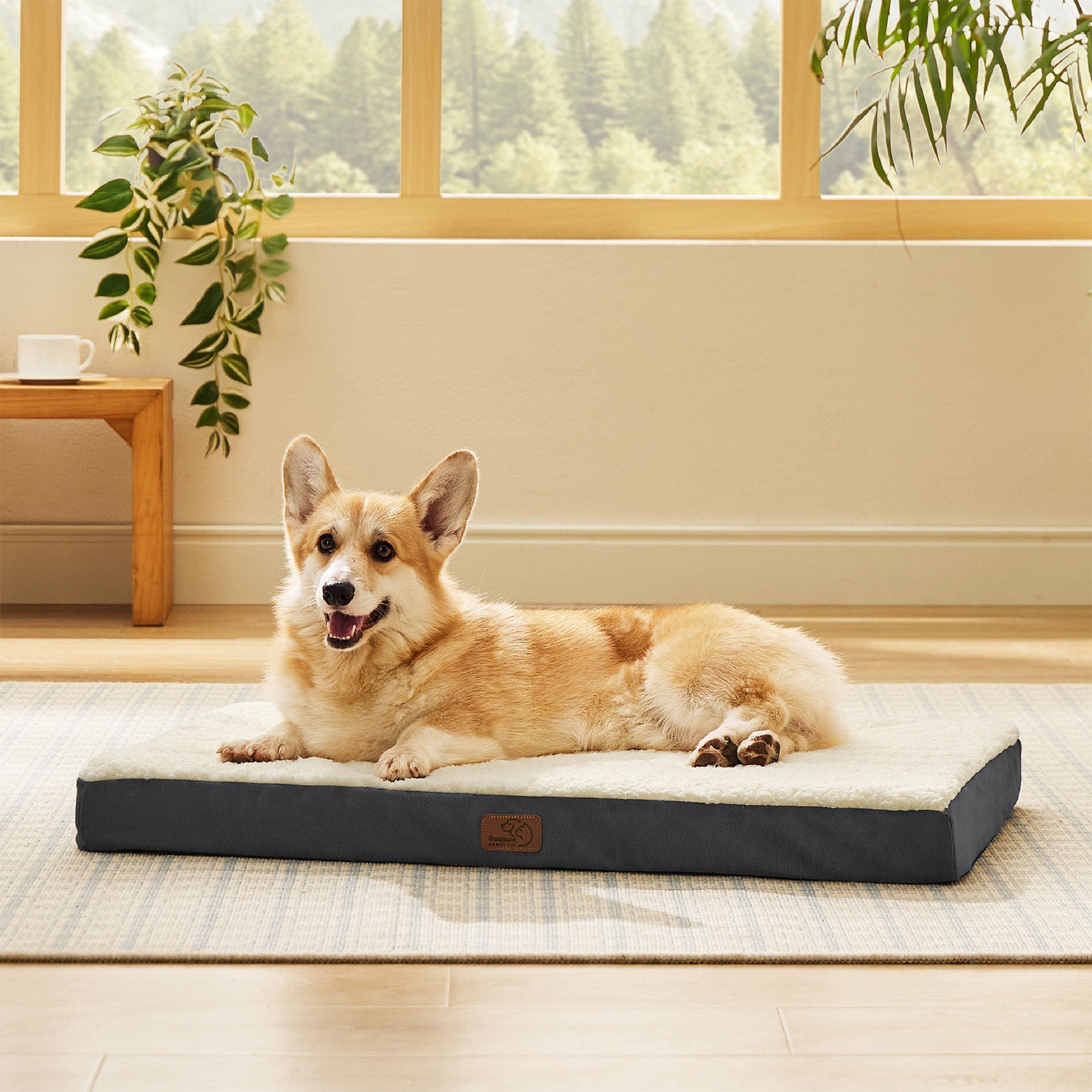 Large Orthopedic Washable Dog Bed