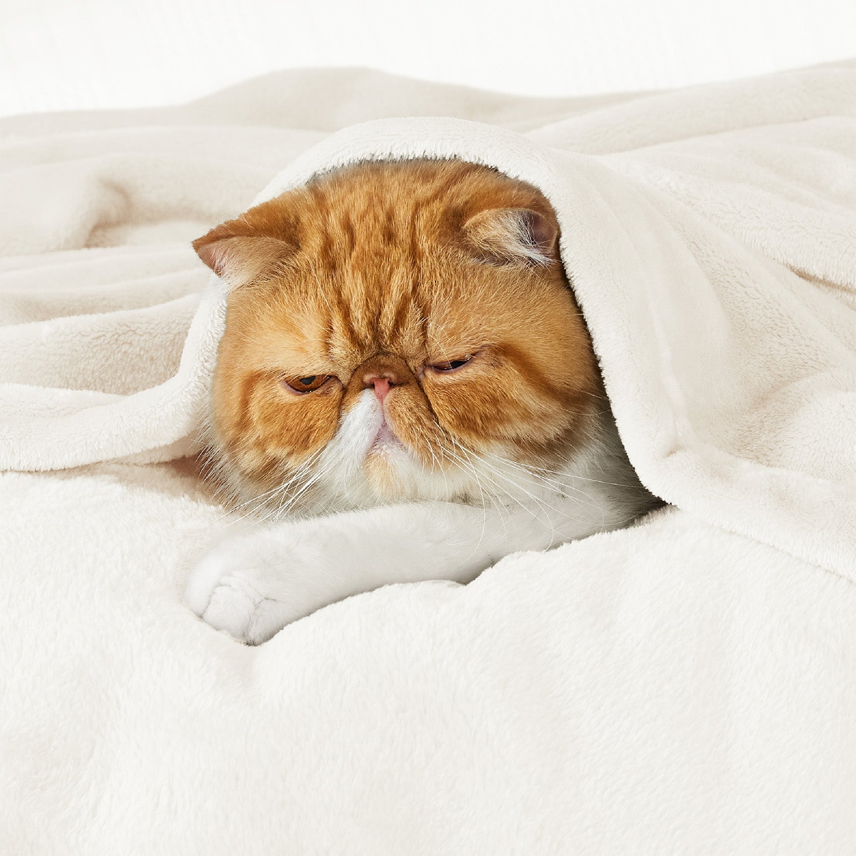 Flannel Fleece Blanket 280gsm