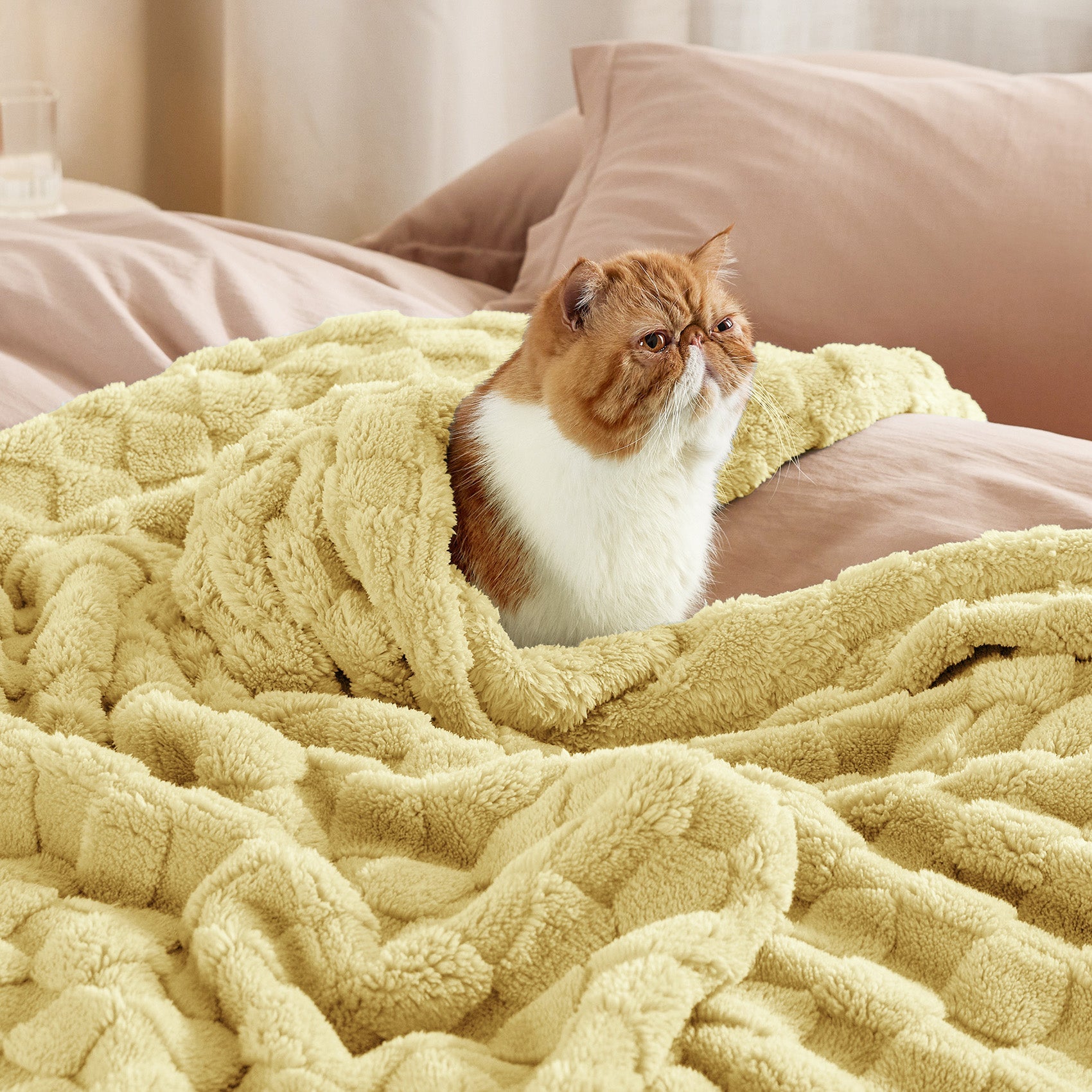 Jacquard Shaggy Sherpa Blanket