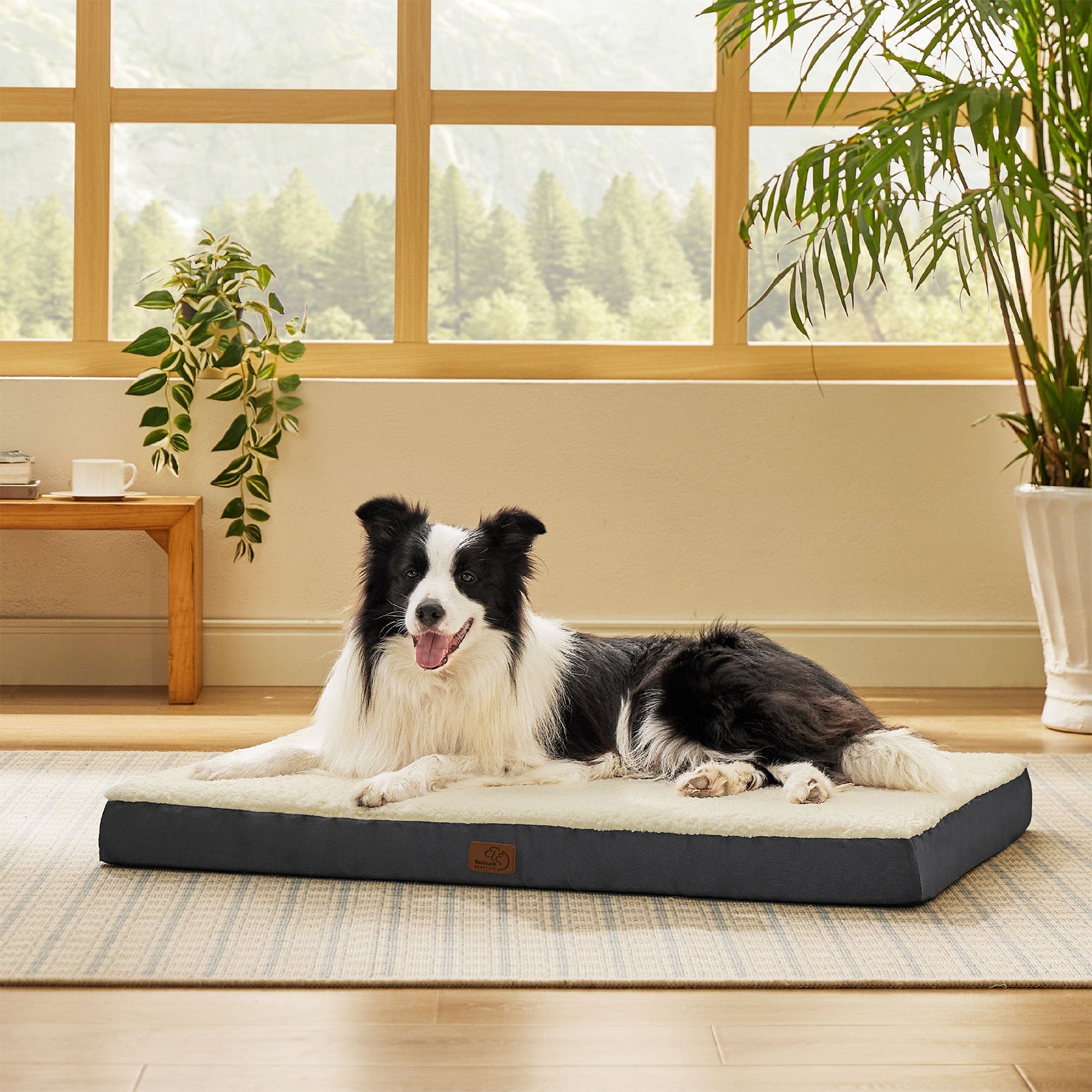 Large Orthopedic Washable Dog Bed